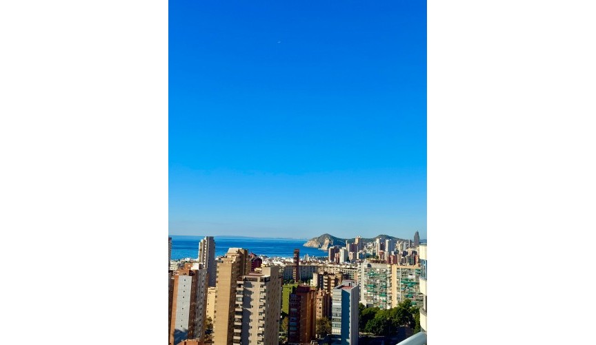 Reventa - Apartment -
Benidorm - Costa Blanca