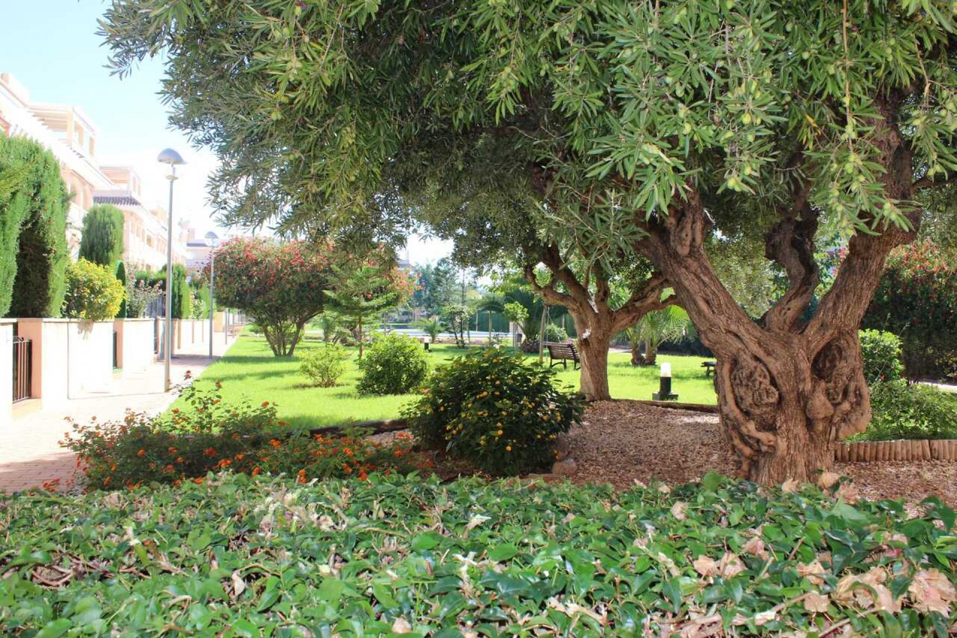 Reventa - Apartment -
Denia - Costa Blanca