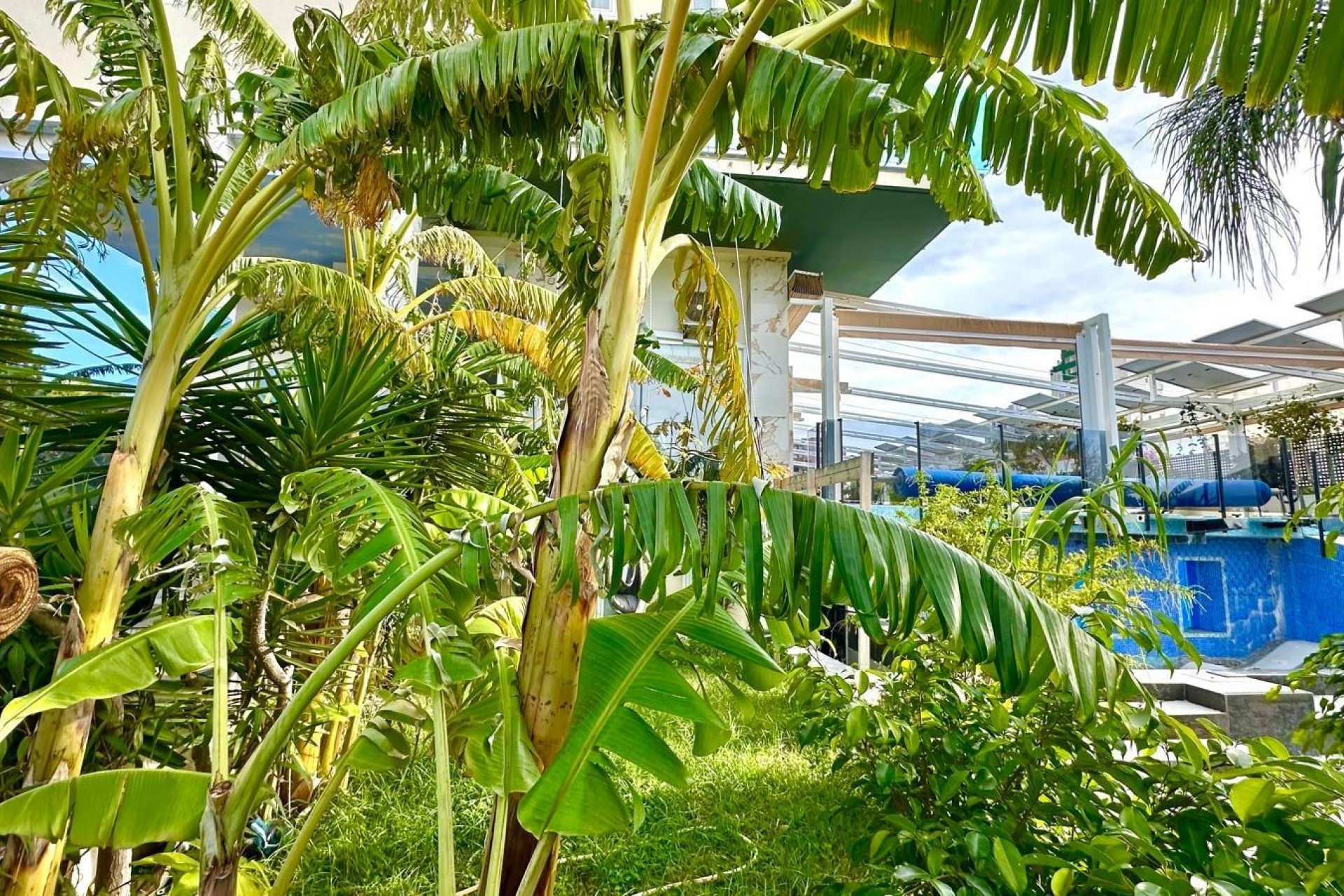 Reventa - Apartment -
Finestrat