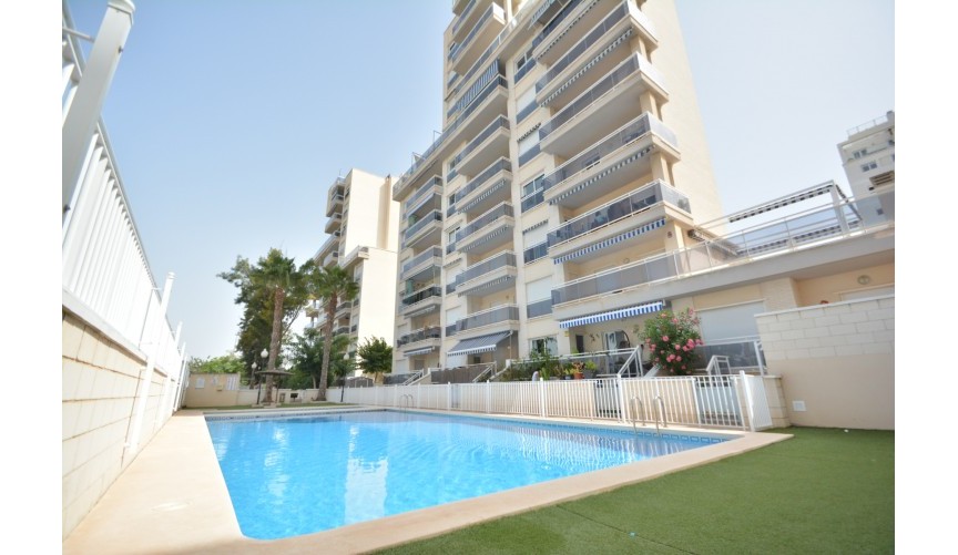Reventa - Apartment -
Guardamar del Segura - Costa Blanca