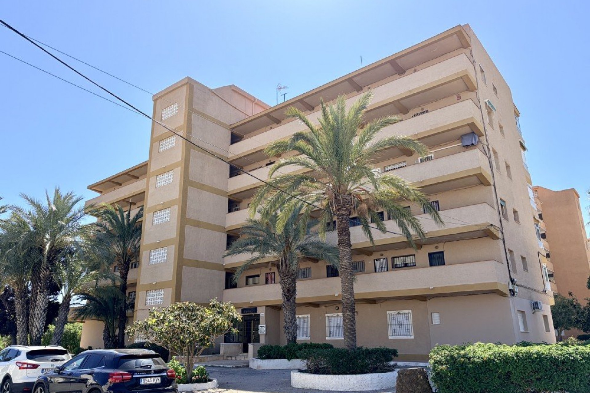 Reventa - Apartment -
Guardamar del Segura - Costa Blanca