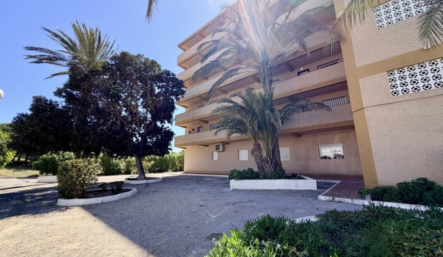 Reventa - Apartment -
Guardamar del Segura - Costa Blanca
