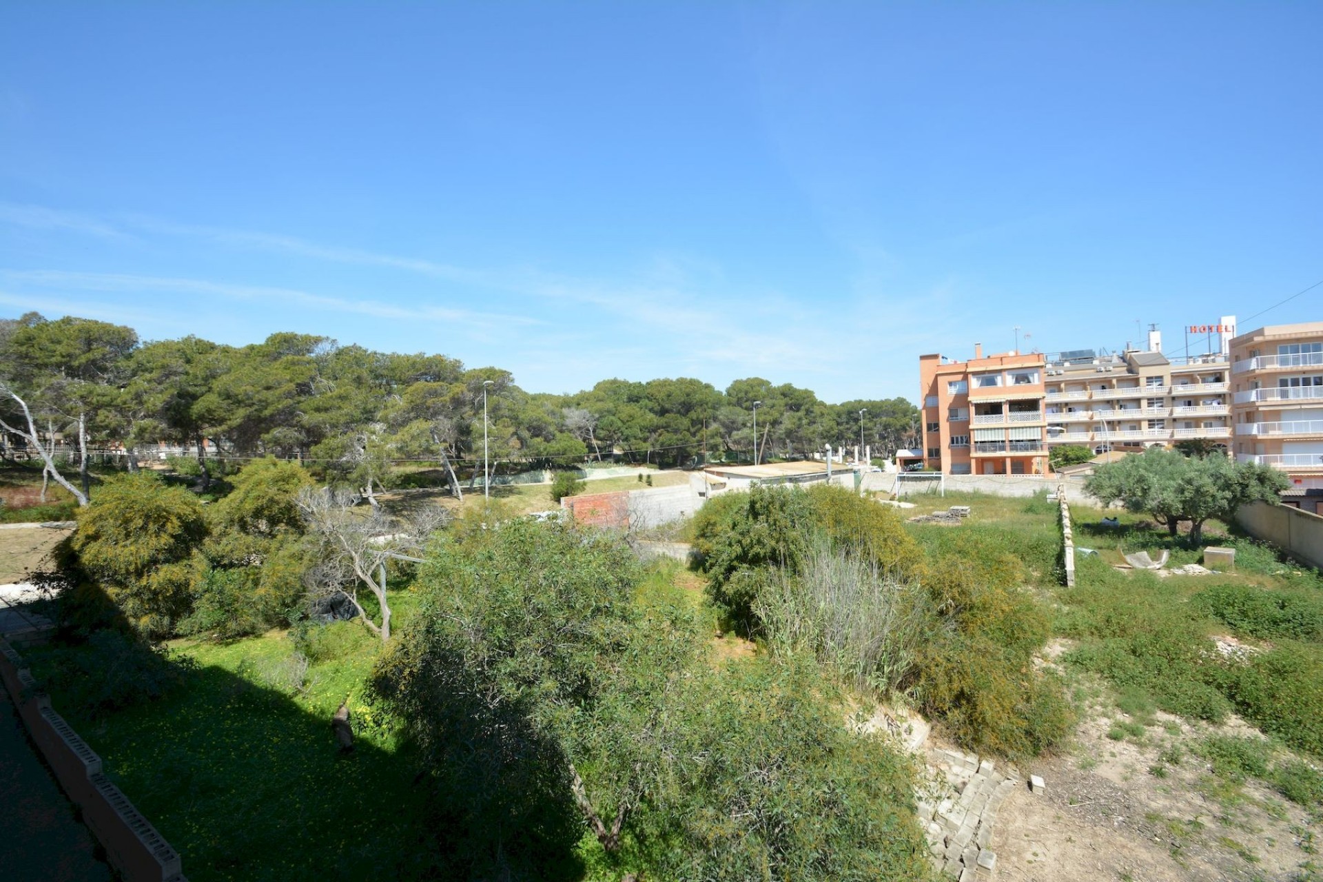 Reventa - Apartment -
Guardamar del Segura - Costa Blanca