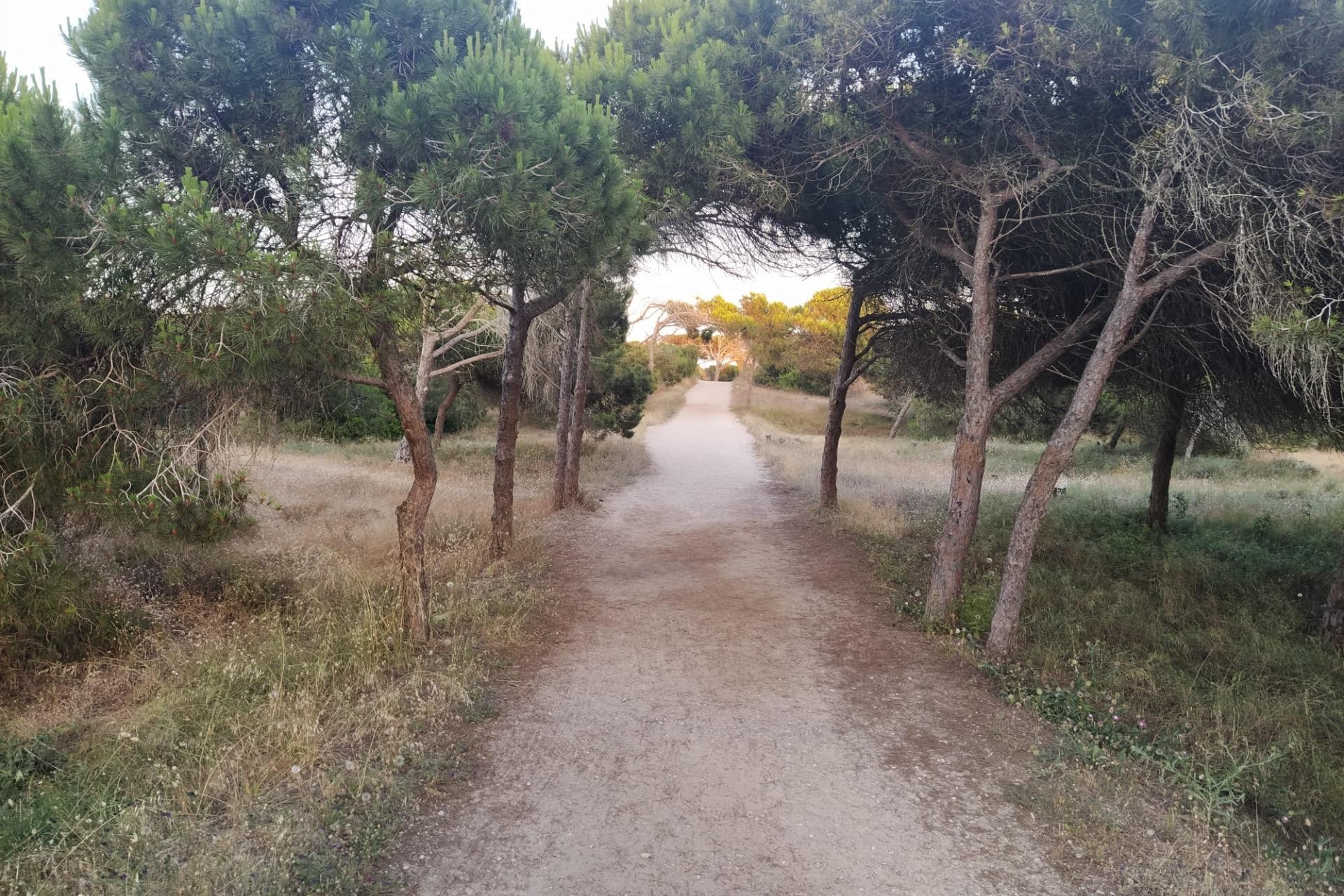 Reventa - Apartment -
Guardamar del Segura - Pinomar