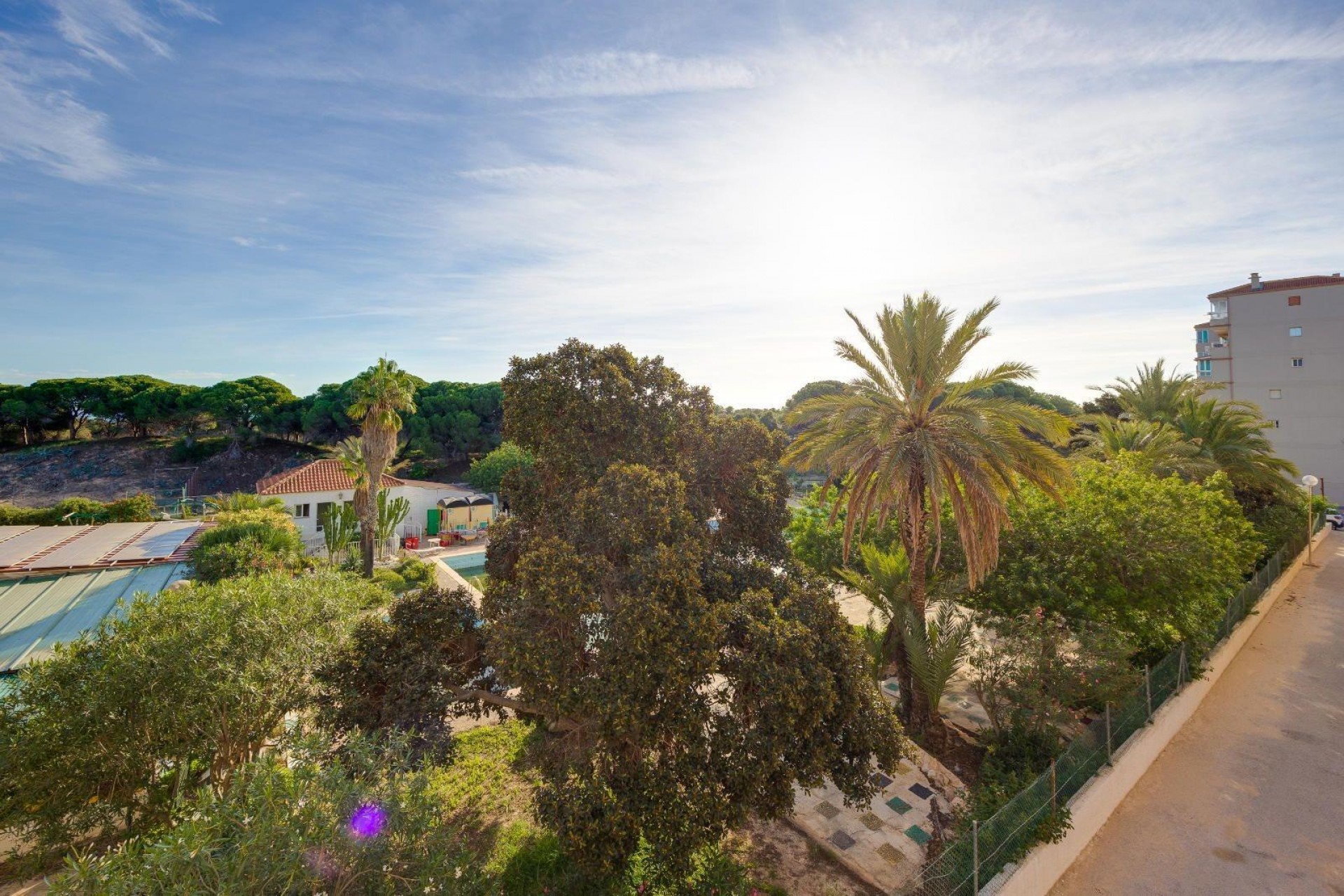 Reventa - Apartment -
Guardamar del Segura - Pinomar