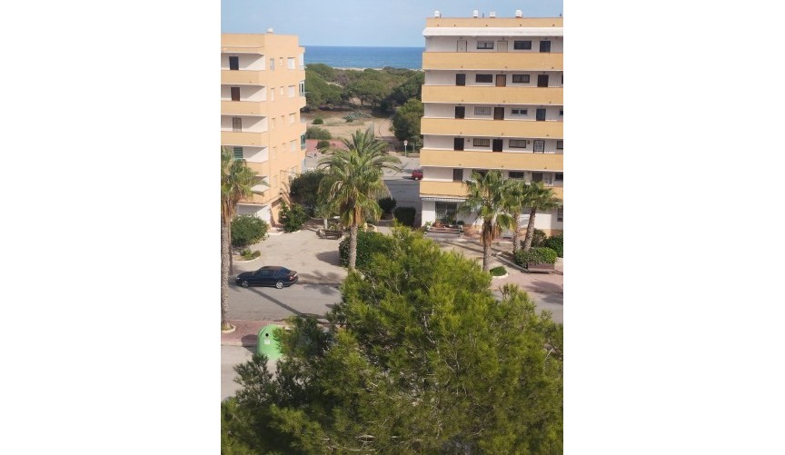 Reventa - Apartment -
Guardamar del Segura - Pinomar