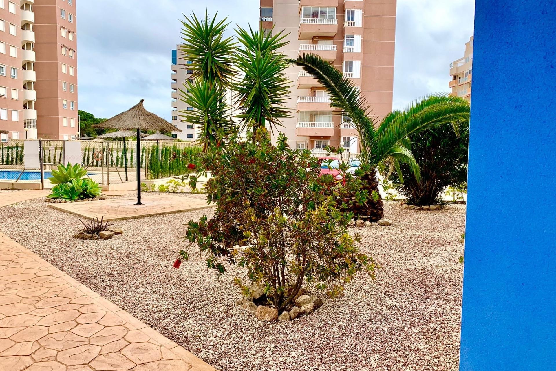 Reventa - Apartment -
Guardamar del Segura - Puerto