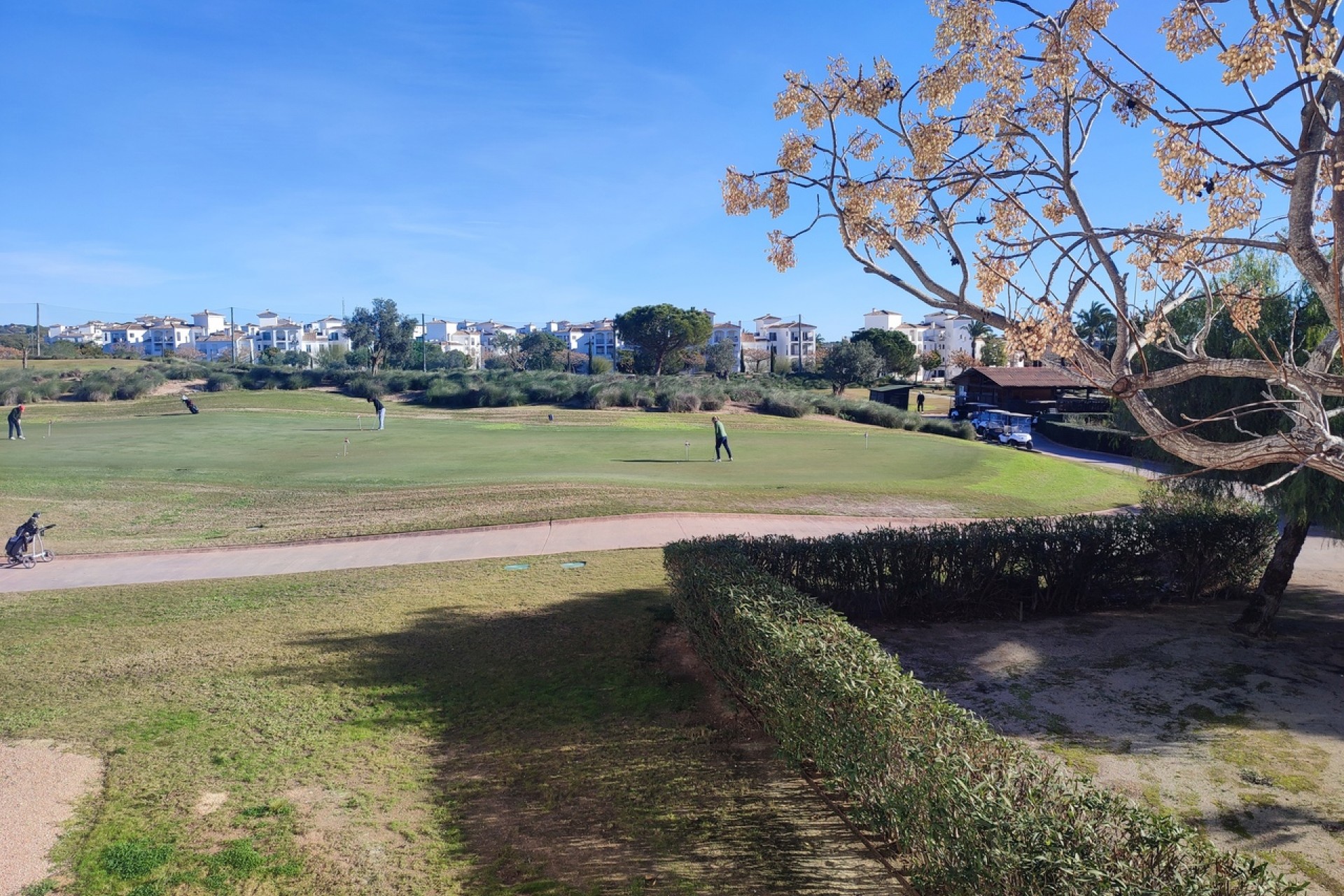 Reventa - Apartment -
Hacienda Riquelme Golf Resort - Inland