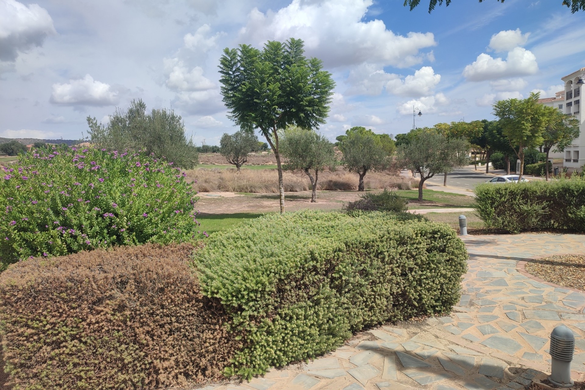 Reventa - Apartment -
Hacienda Riquelme Golf Resort - Inland