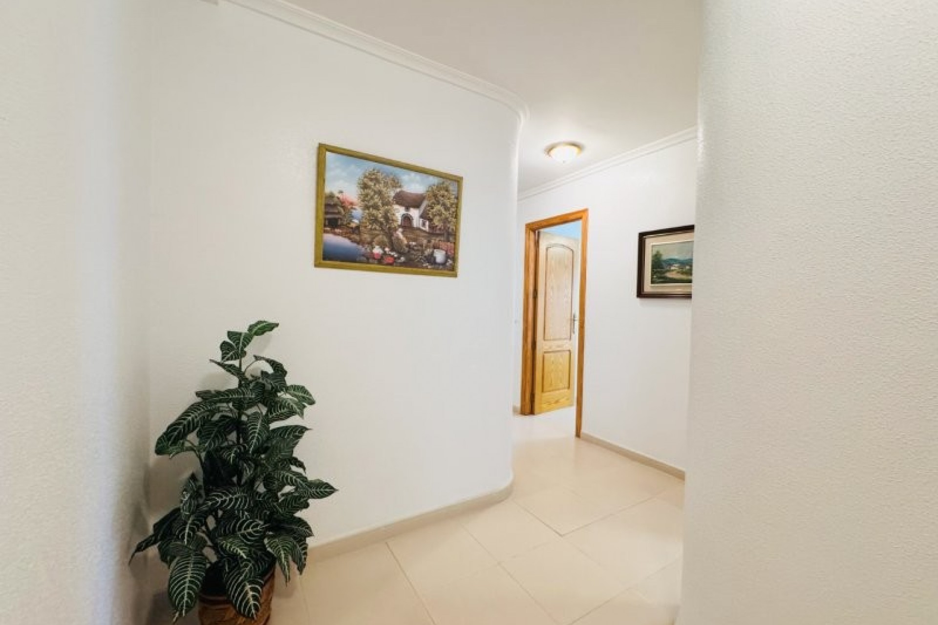 Reventa - Apartment -
La Mata - Costa Blanca