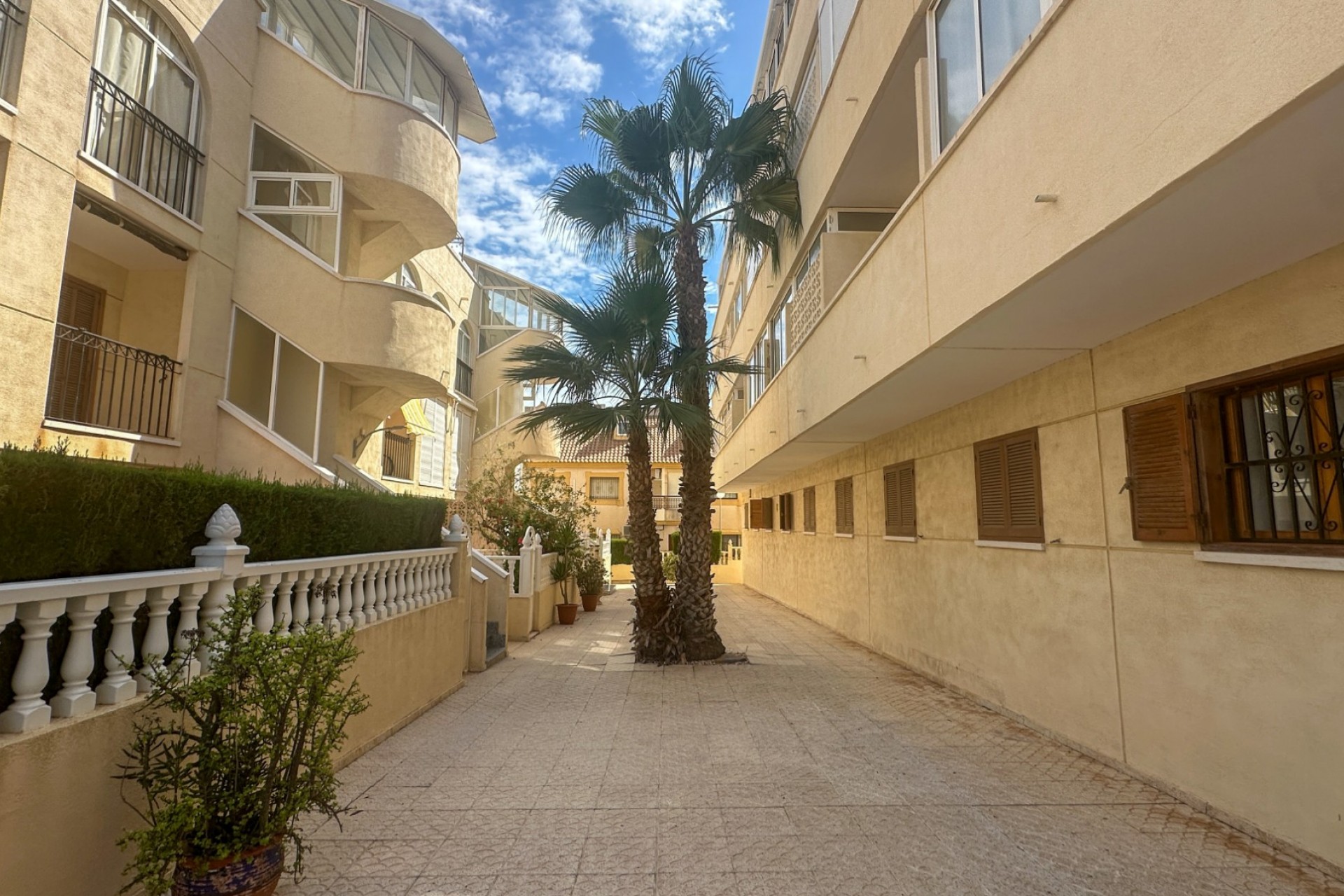 Reventa - Apartment -
La Zenia - Costa Blanca