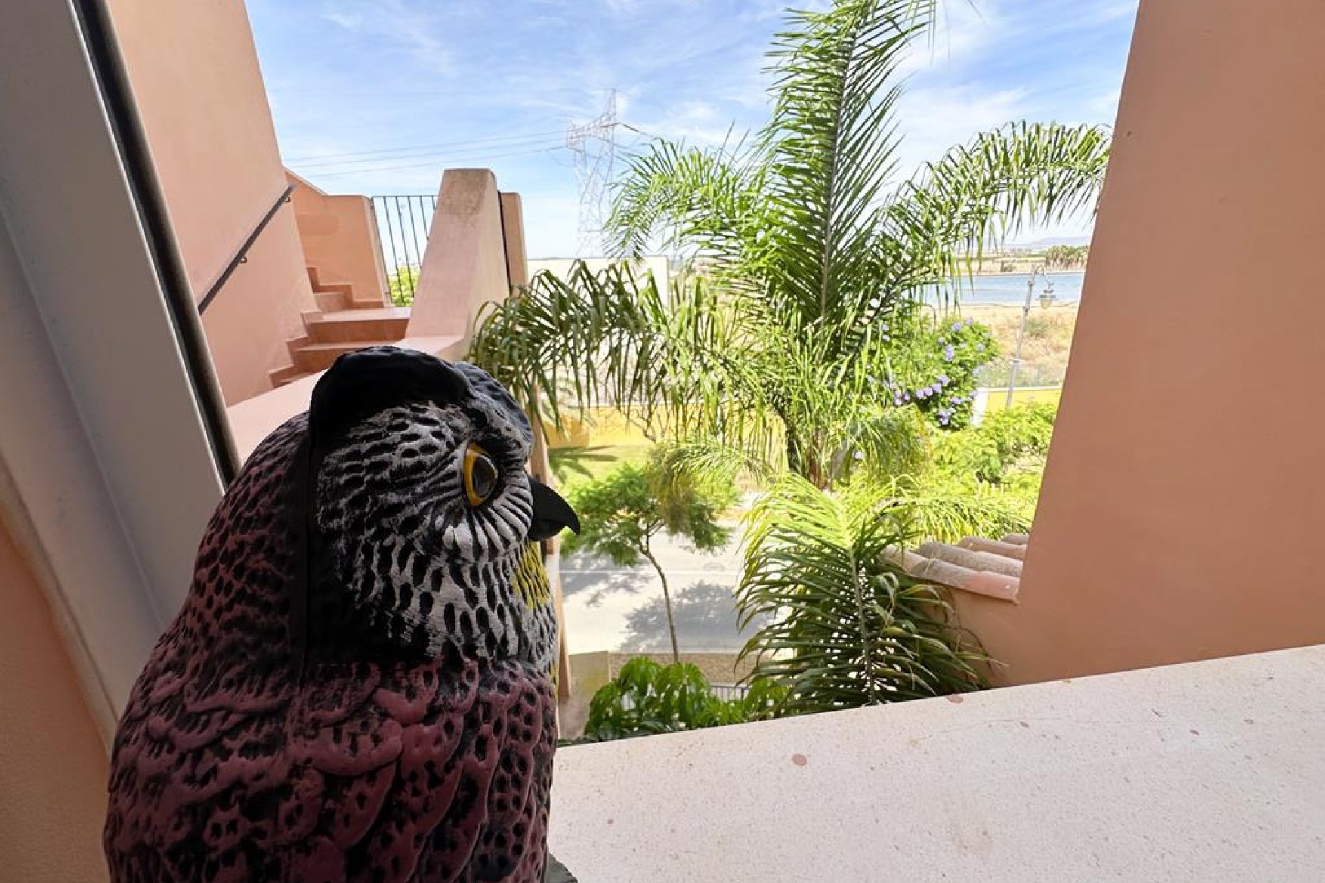 Reventa - Apartment -
Mar Menor Golf Resort - Inland