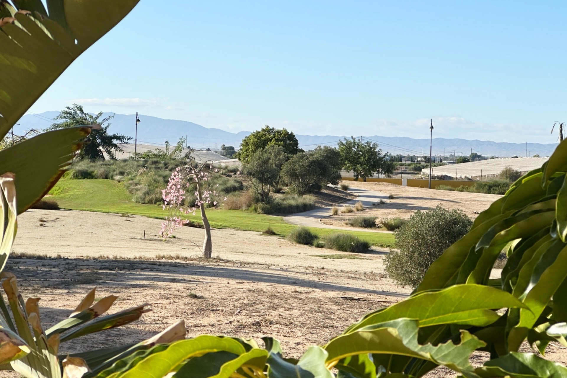 Reventa - Apartment -
Mar Menor Golf Resort - Inland