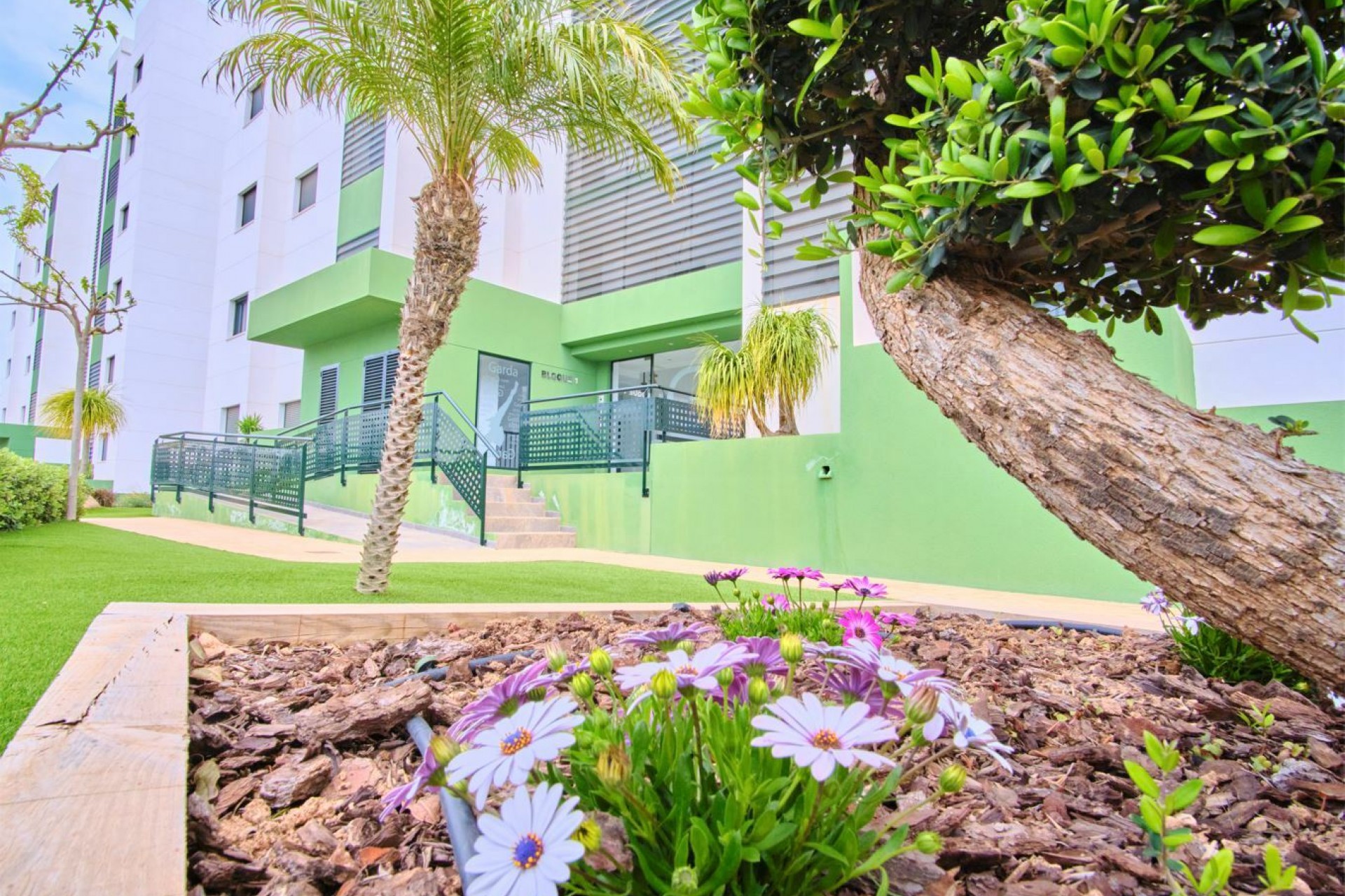 Reventa - Apartment -
Mil Palmeras - Costa Blanca