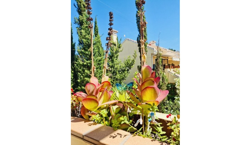 Reventa - Apartment -
Orihuela Costa - Costa Blanca