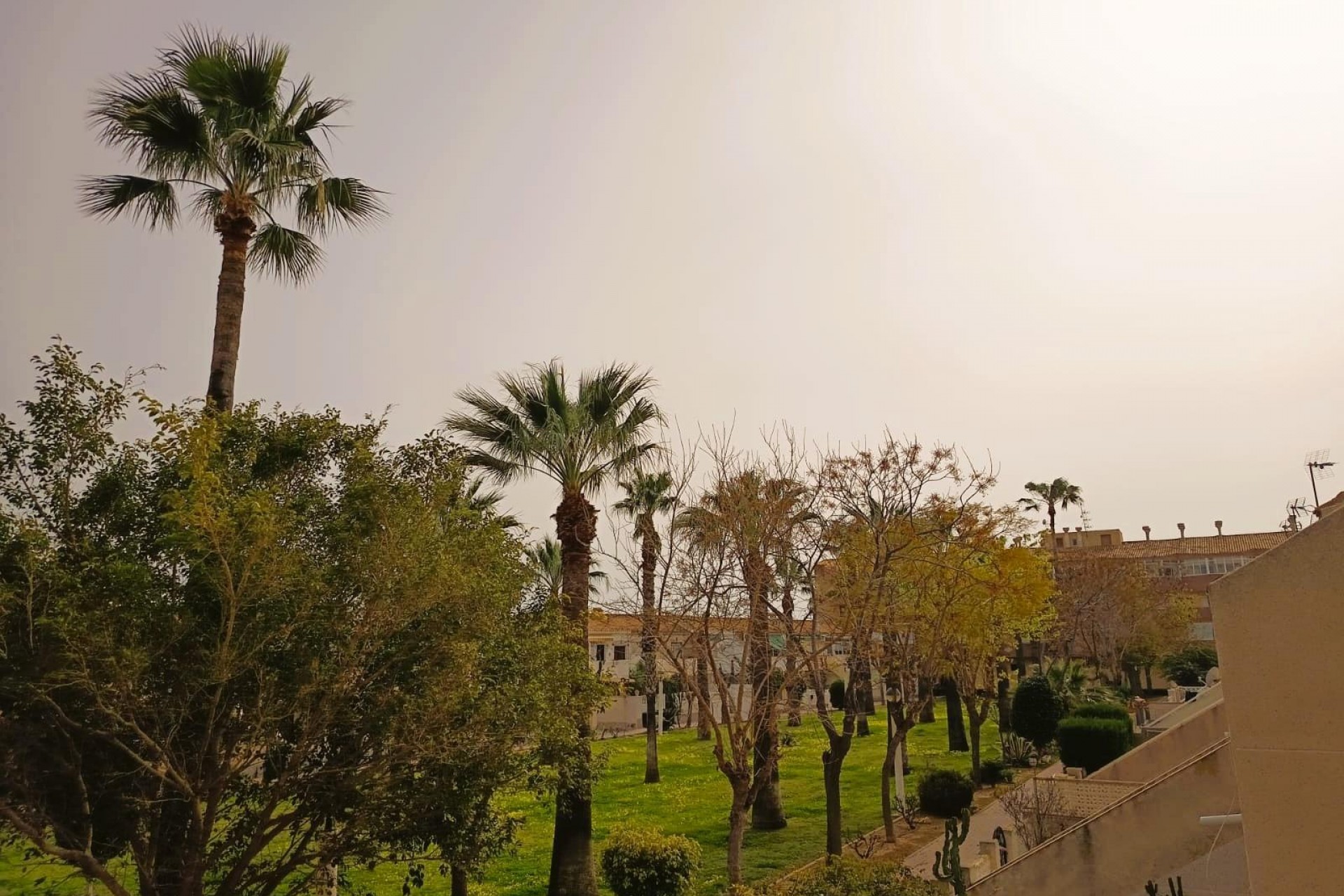 Reventa - Apartment -
Orihuela Costa - Costa Blanca