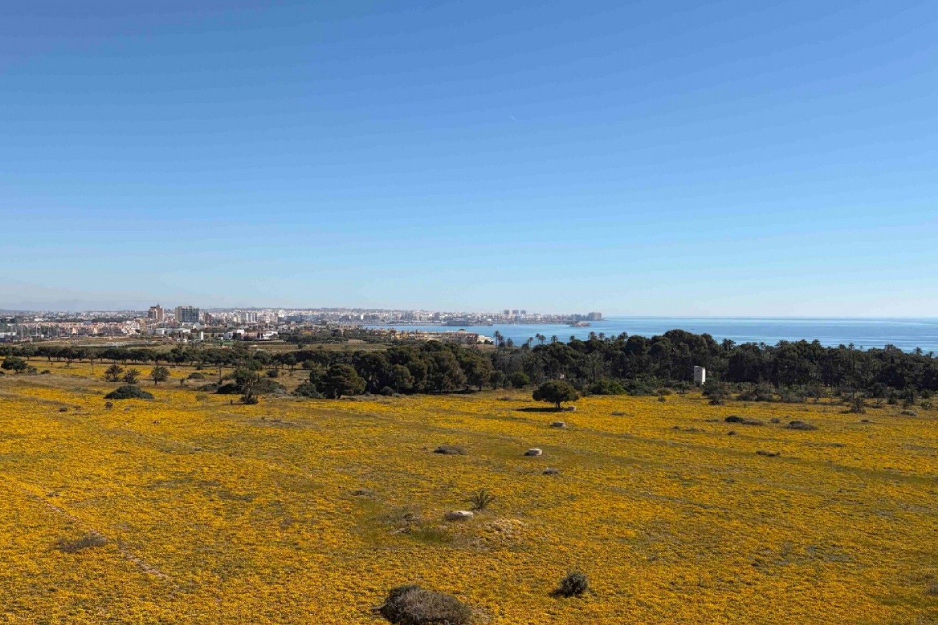 Reventa - Apartment -
Orihuela Costa - Costa Blanca