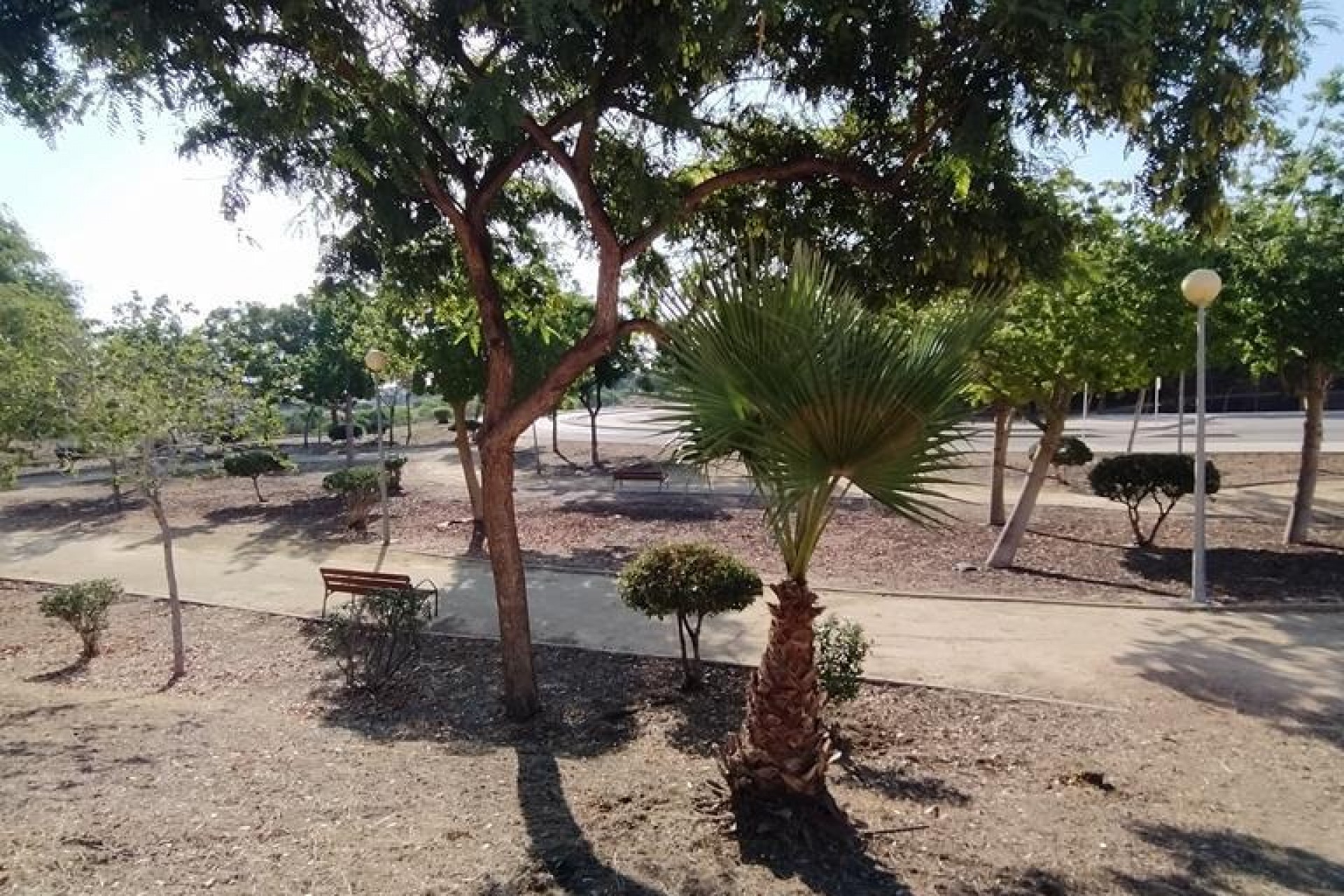 Reventa - Apartment -
Orihuela Costa - LOMAS CABO ROIG