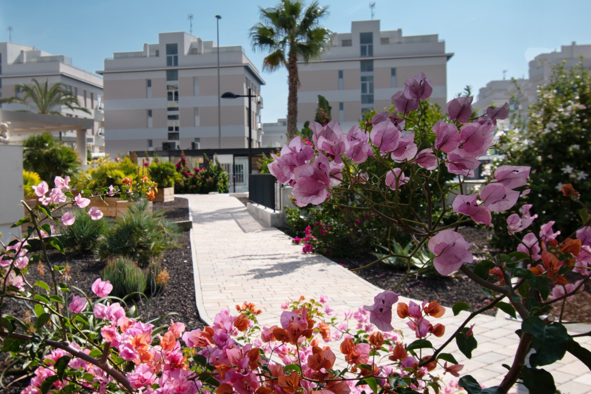 Reventa - Apartment -
Orihuela Costa - Los Dolses