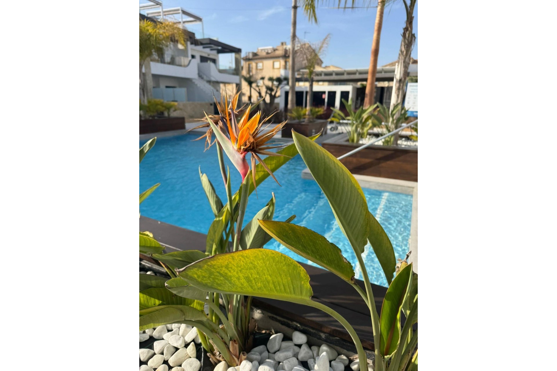 Reventa - Apartment -
Orihuela Costa - Rocio Del Mar