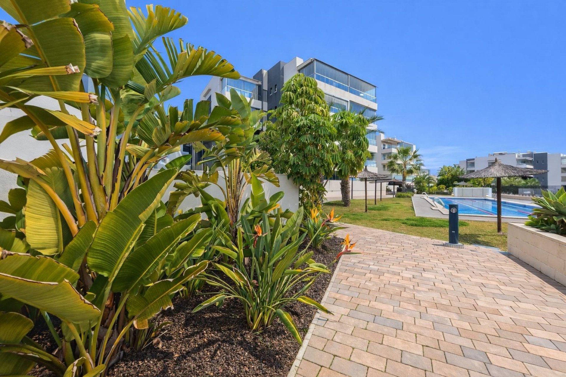 Reventa - Apartment -
Orihuela Costa - Villamartín