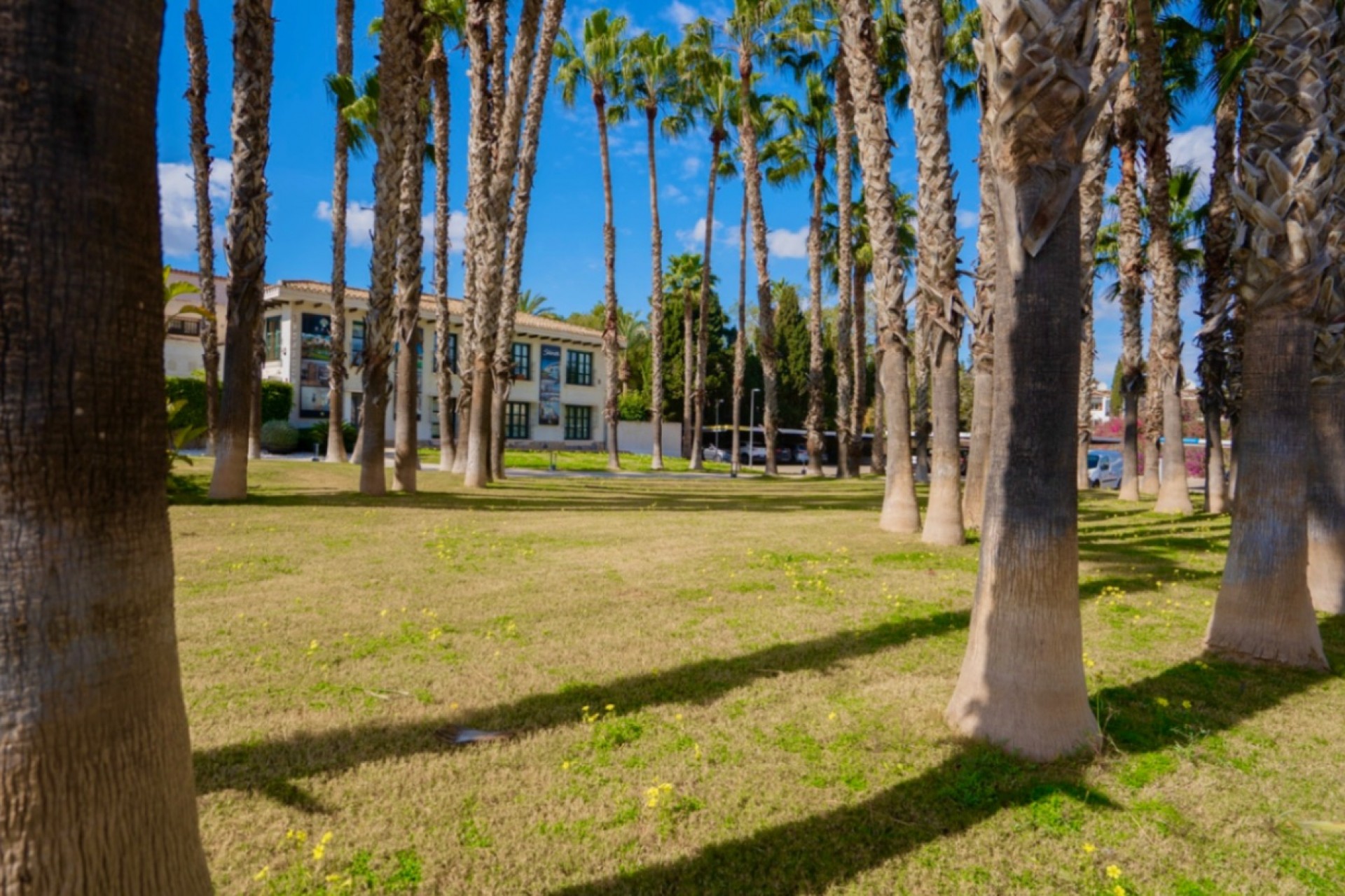 Reventa - Apartment -
Orihuela - Inland