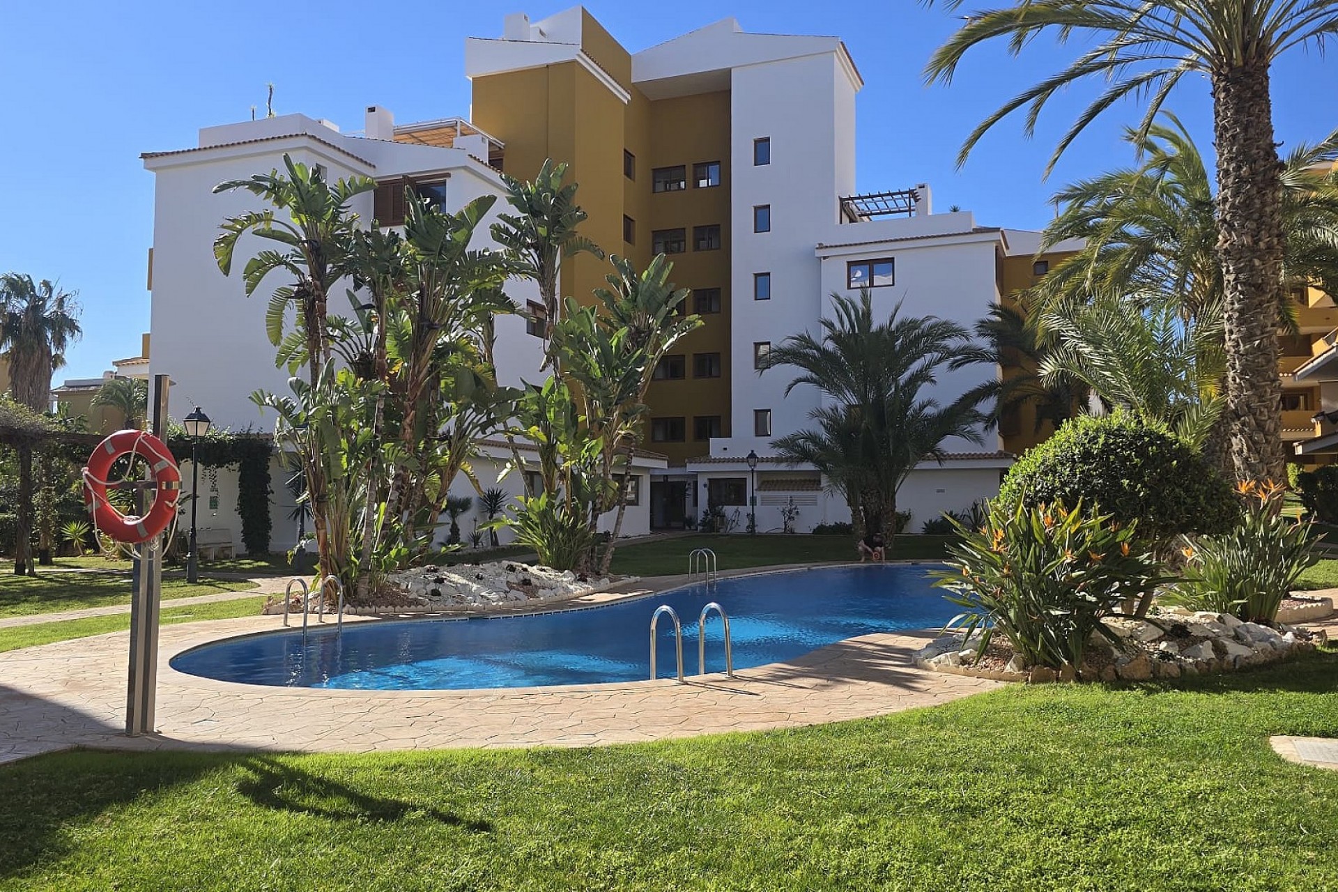 Reventa - Apartment -
Punta Prima - Costa Blanca