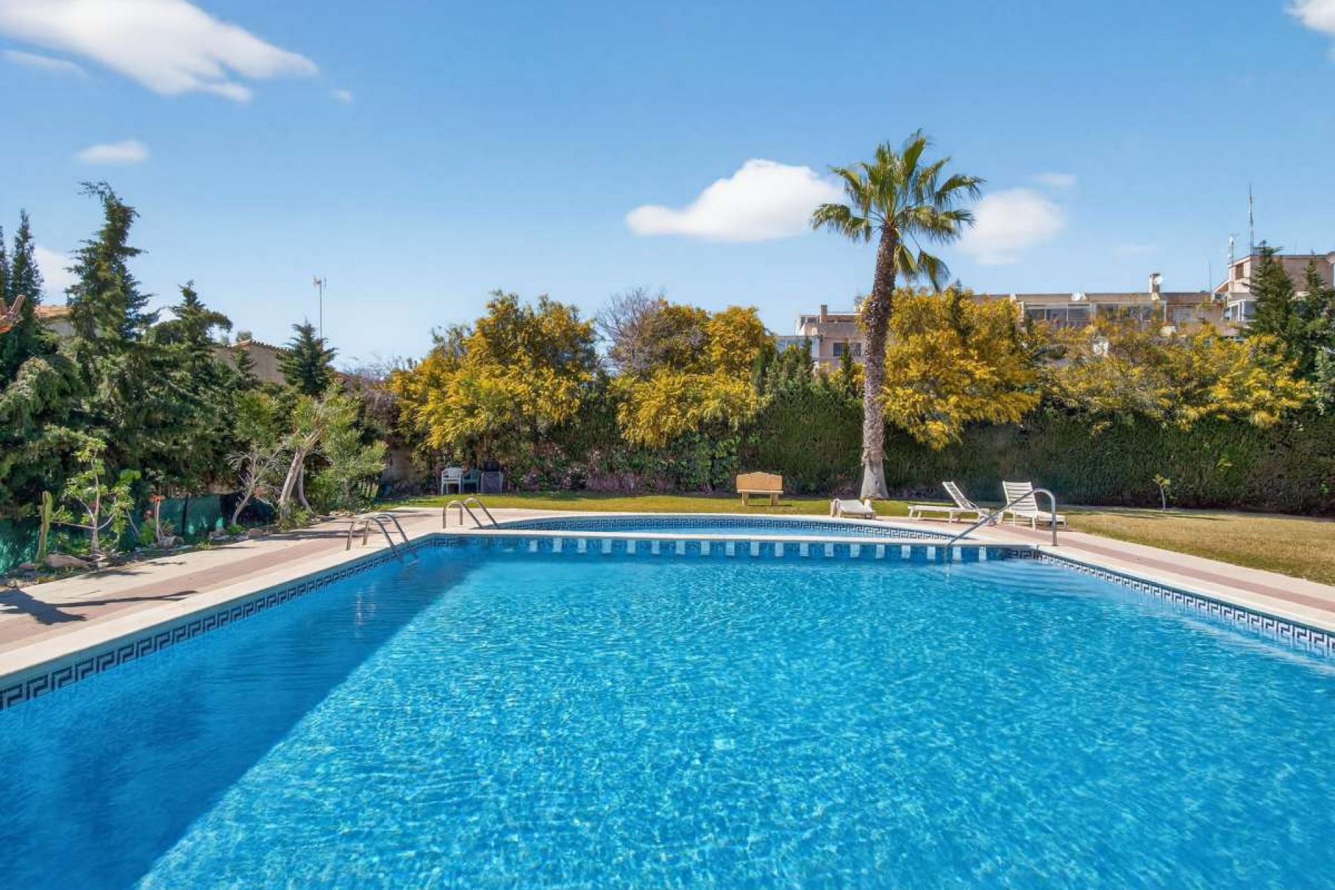Reventa - Apartment -
Punta Prima - Costa Blanca