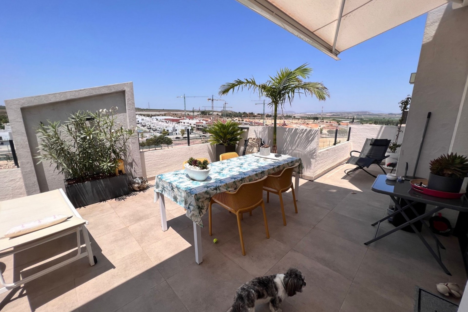 Reventa - Apartment -
San Miguel de Salinas - Inland