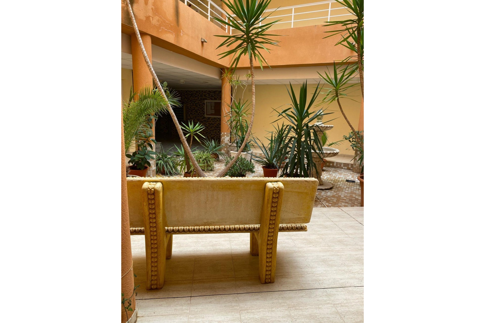 Reventa - Apartment -
San Miguel de Salinas - Pueblo 9