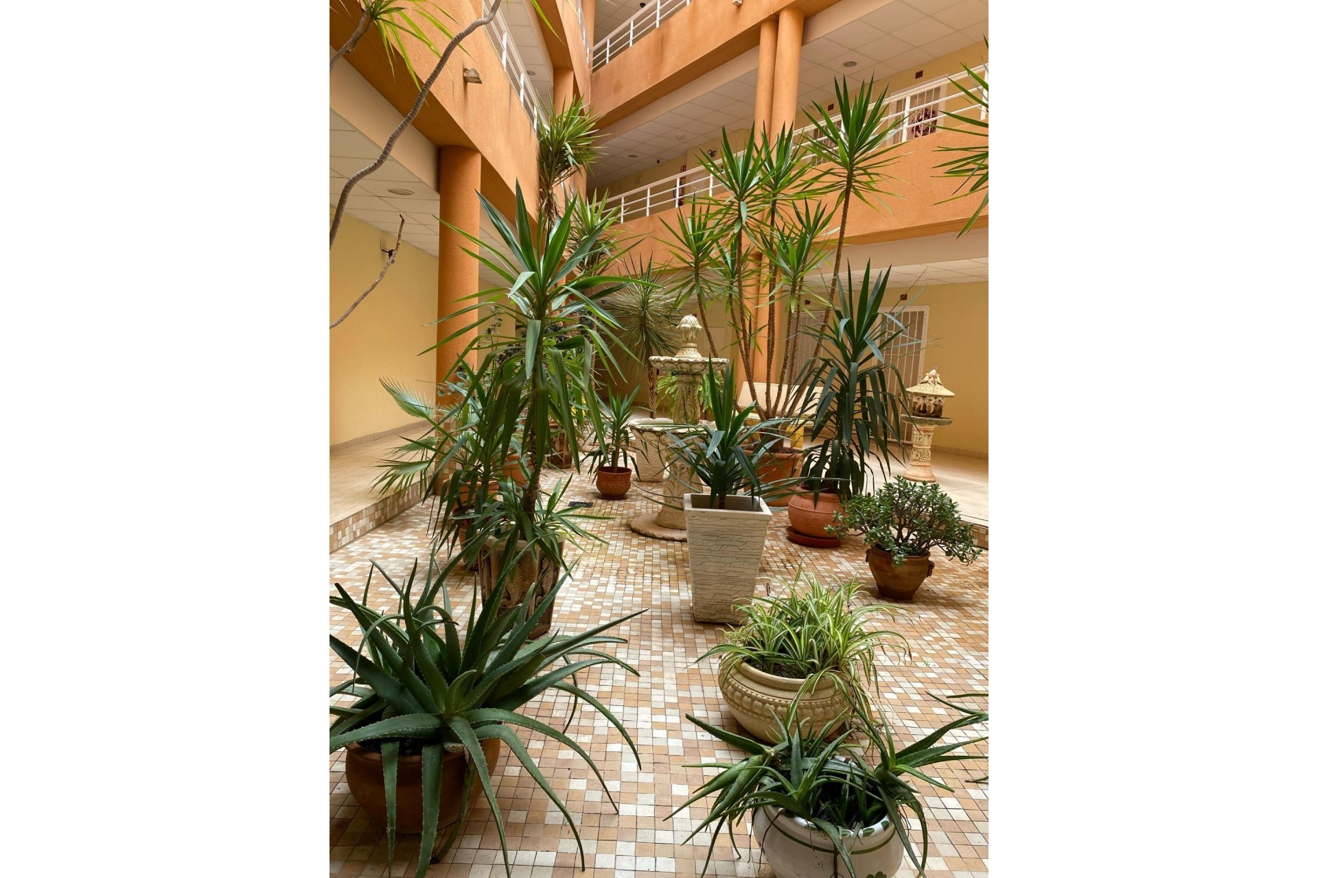 Reventa - Apartment -
San Miguel de Salinas - Pueblo 9