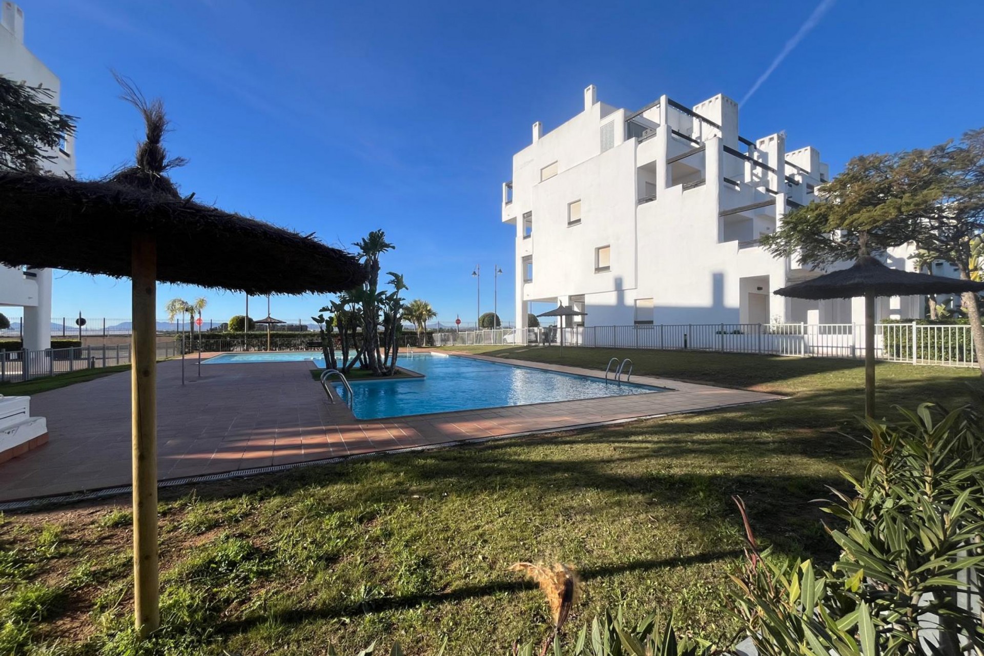Reventa - Apartment -
Torre Pacheco - Inland