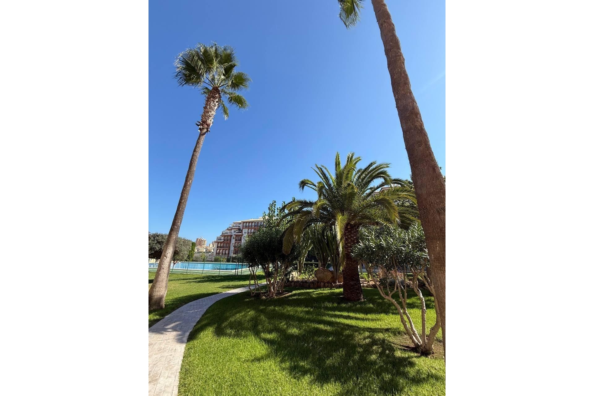 Reventa - Apartment -
Torrevieja - Aguas Nuevas 2