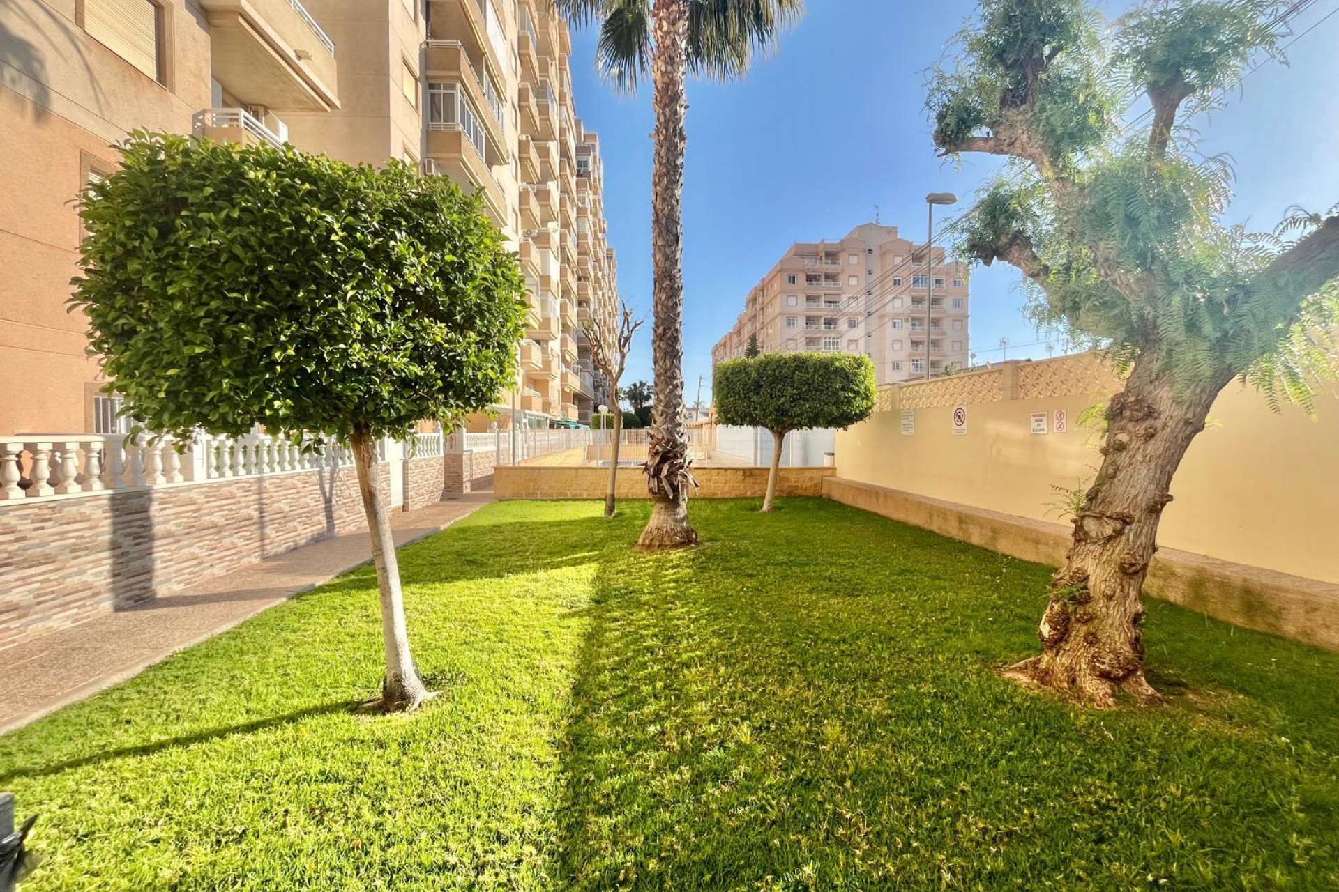 Reventa - Apartment -
Torrevieja - Calas Blanca