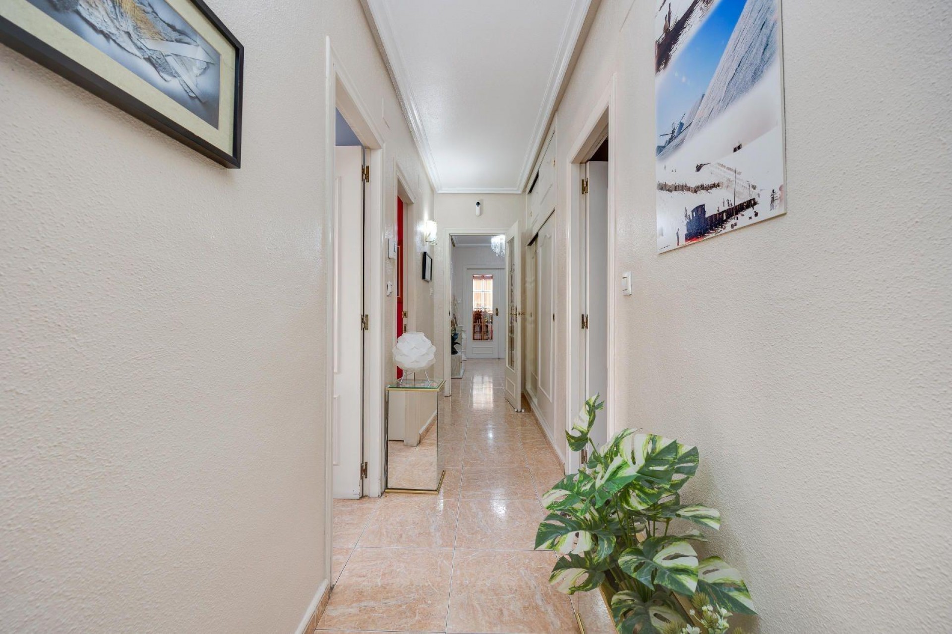 Reventa - Apartment -
Torrevieja - Centro