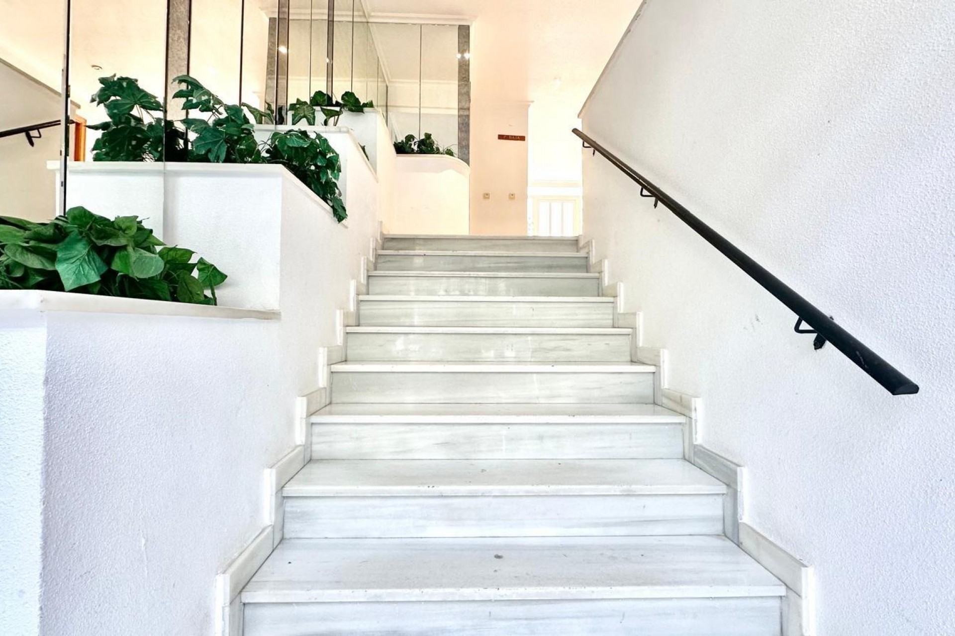 Reventa - Apartment -
Torrevieja - Centro