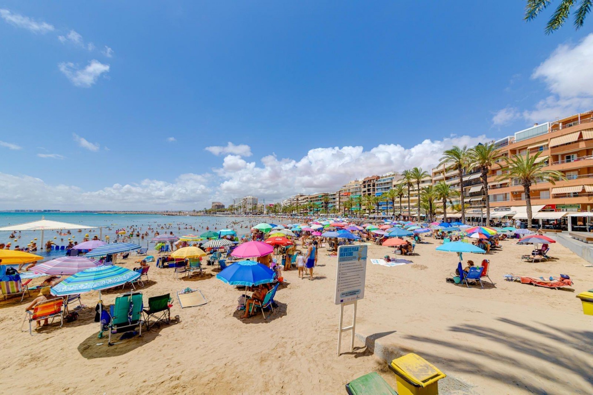 Reventa - Apartment -
Torrevieja - Centro