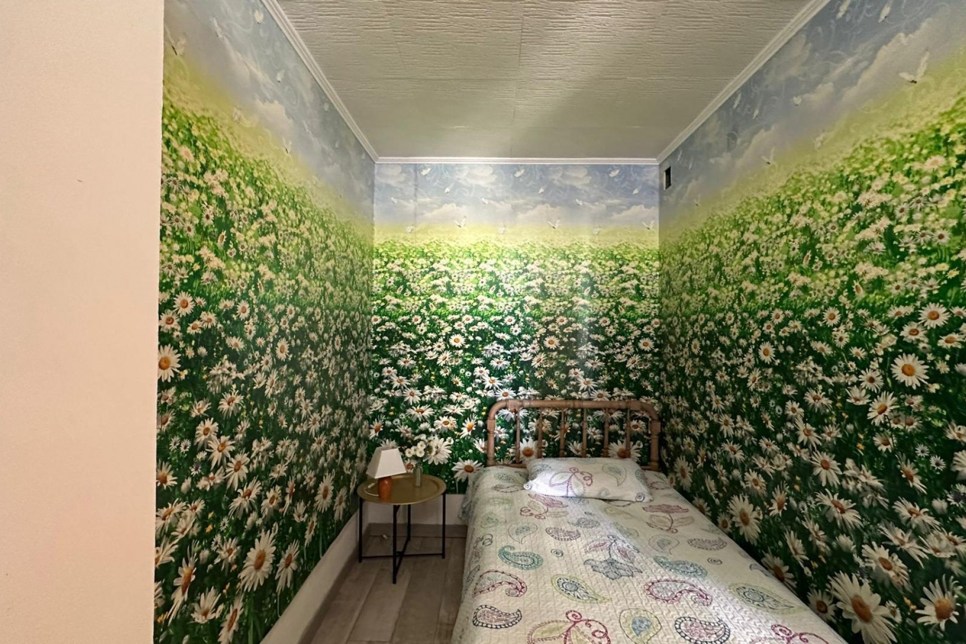 Reventa - Apartment -
Torrevieja - Centro