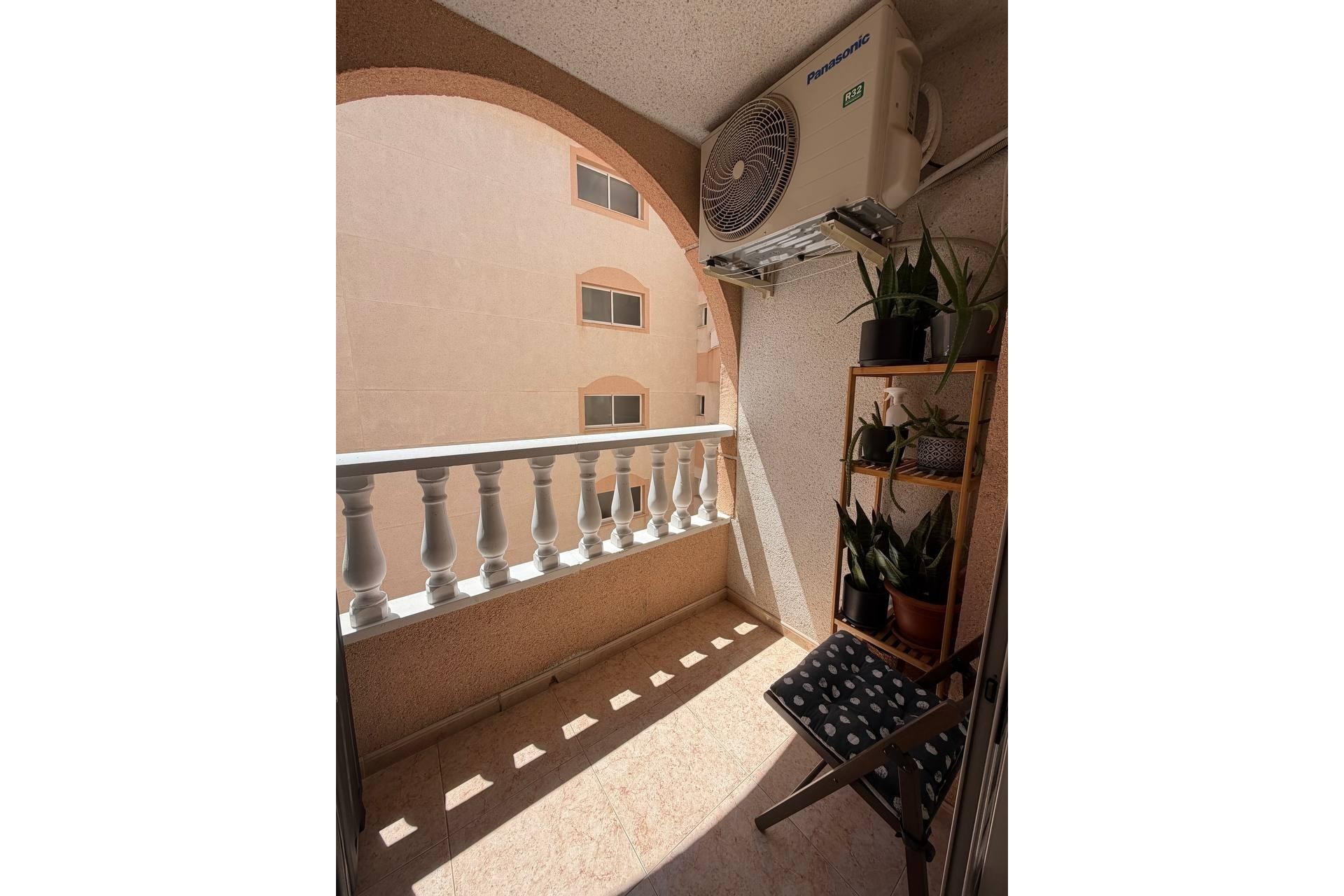Reventa - Apartment -
Torrevieja - Centro
