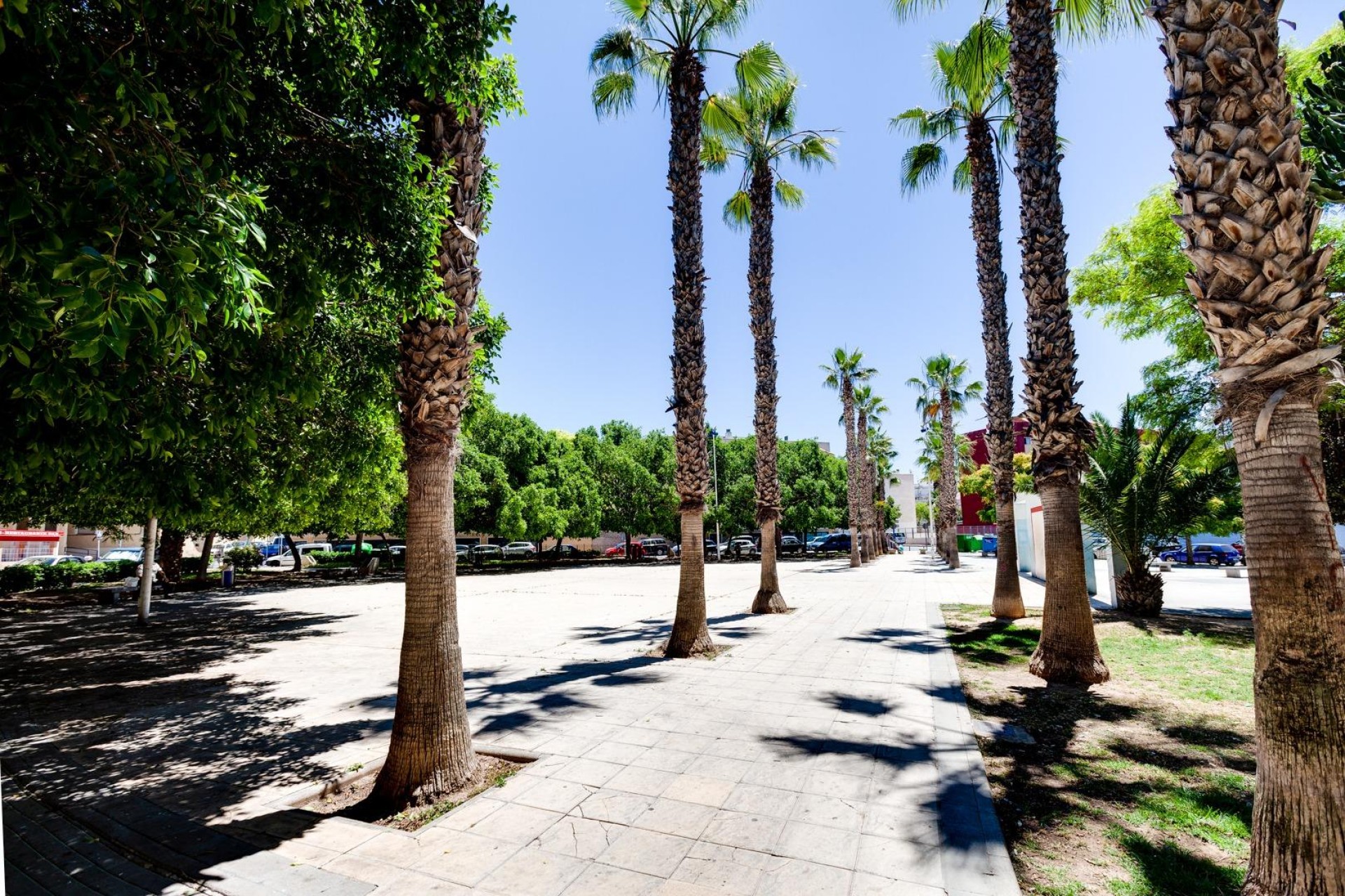 Reventa - Apartment -
Torrevieja - Centro