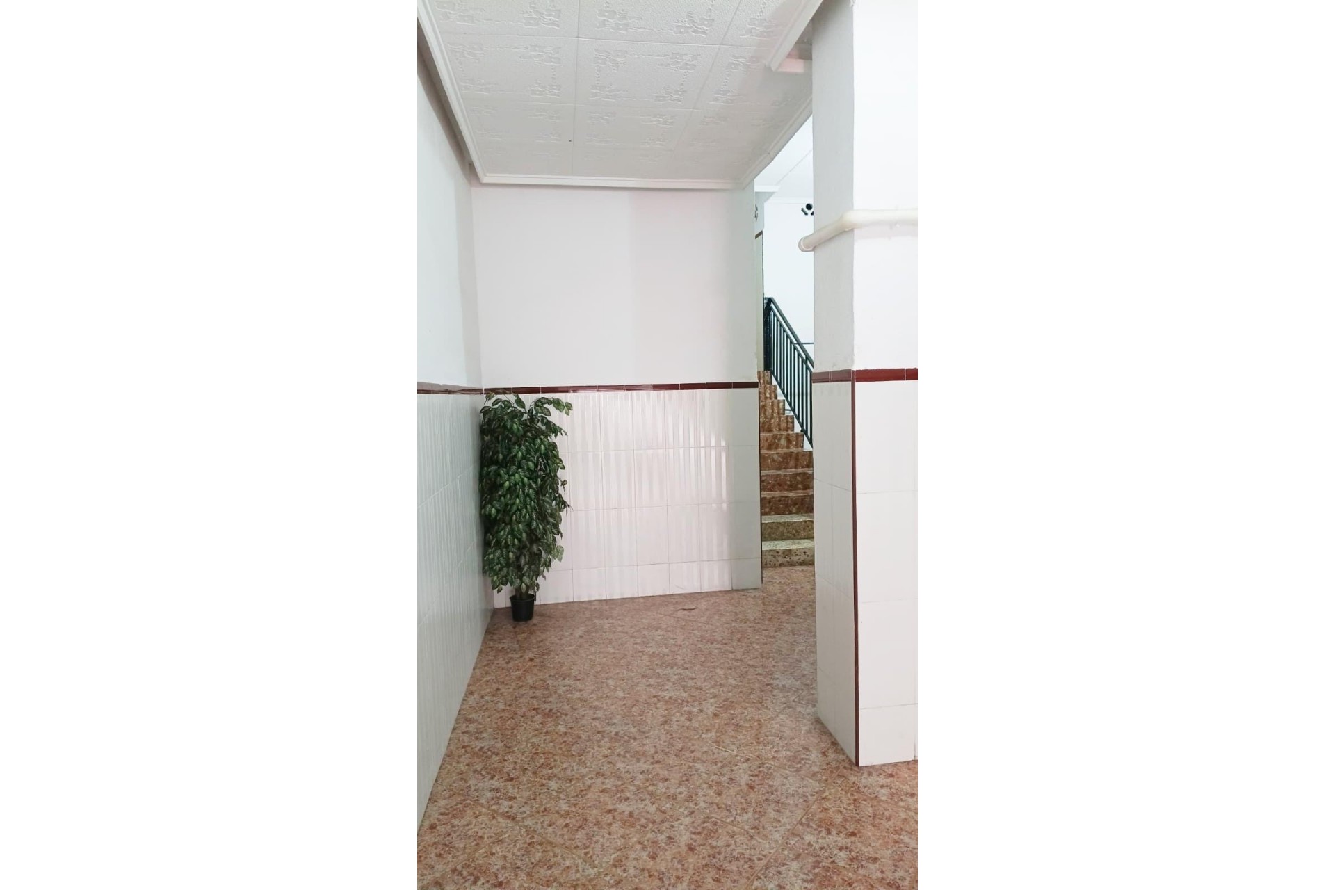 Reventa - Apartment -
Torrevieja - Centro