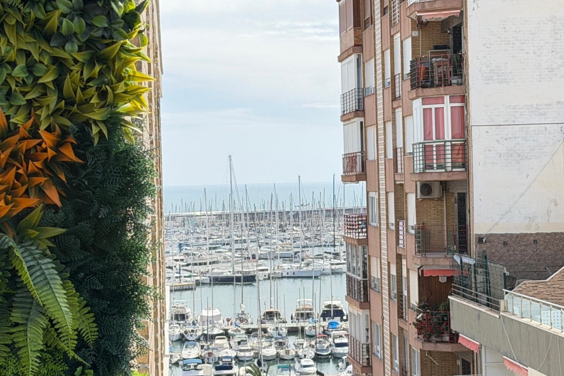 Reventa - Apartment -
Torrevieja - Centro