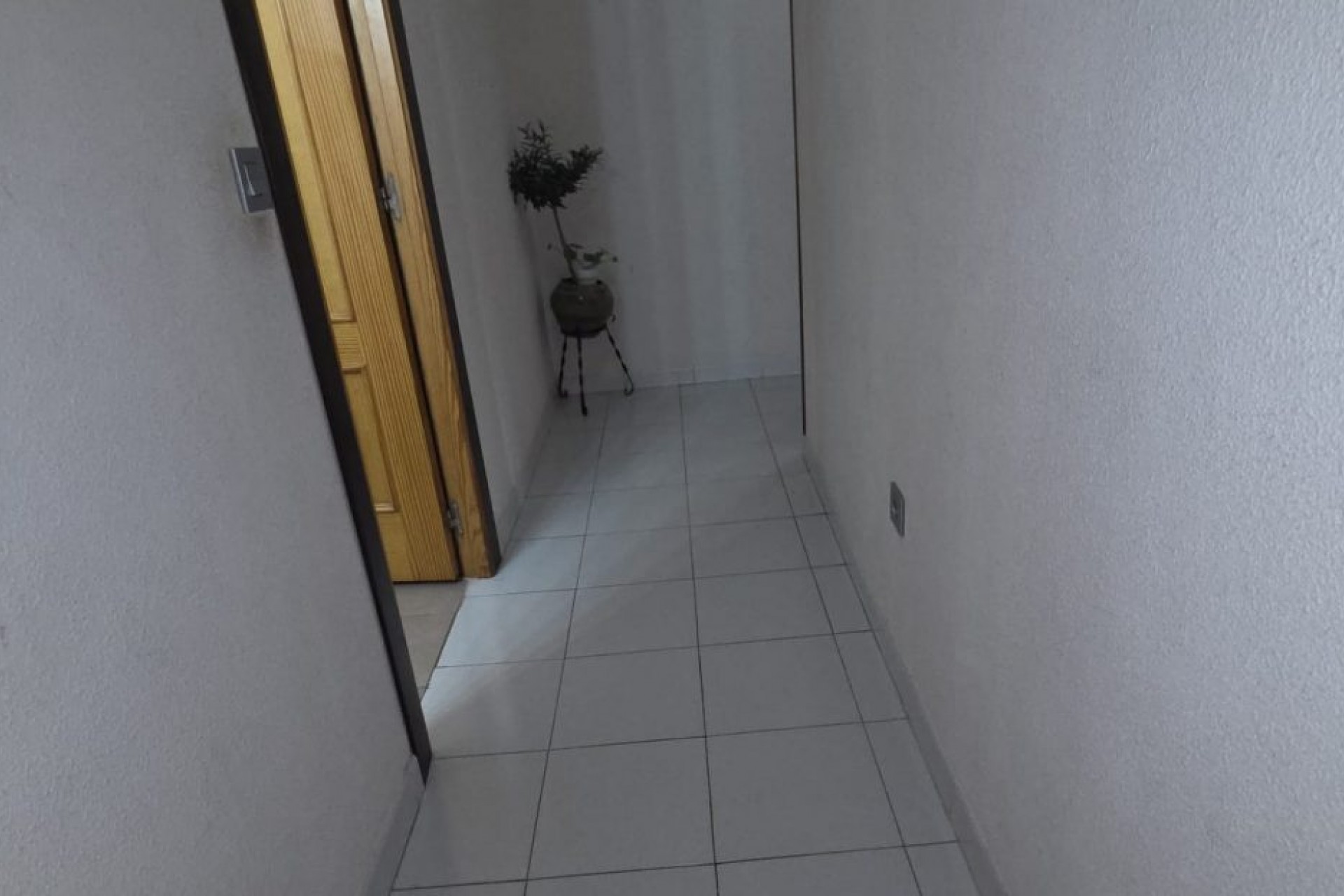 Reventa - Apartment -
Torrevieja - Costa Blanca