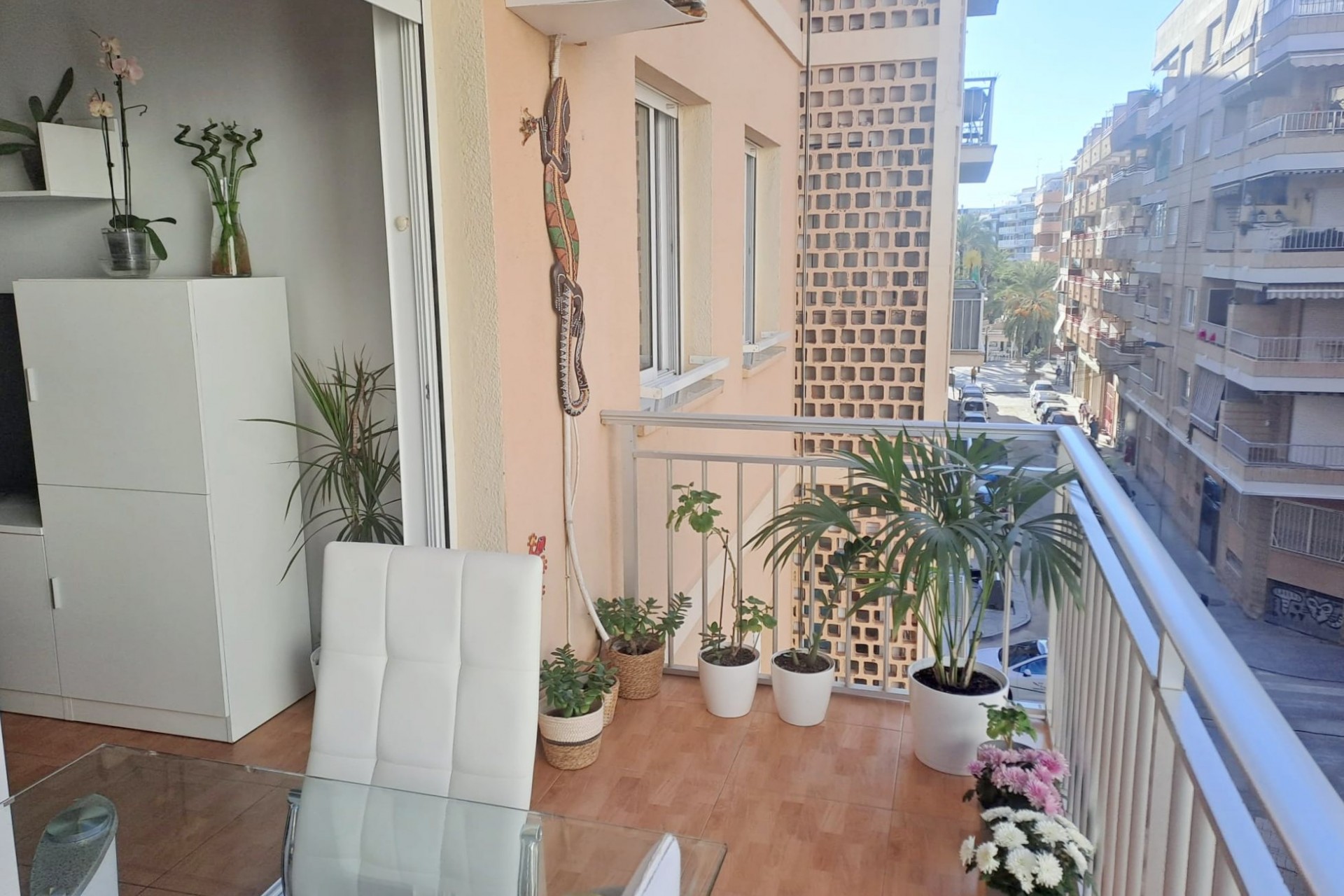 Reventa - Apartment -
Torrevieja - Costa Blanca