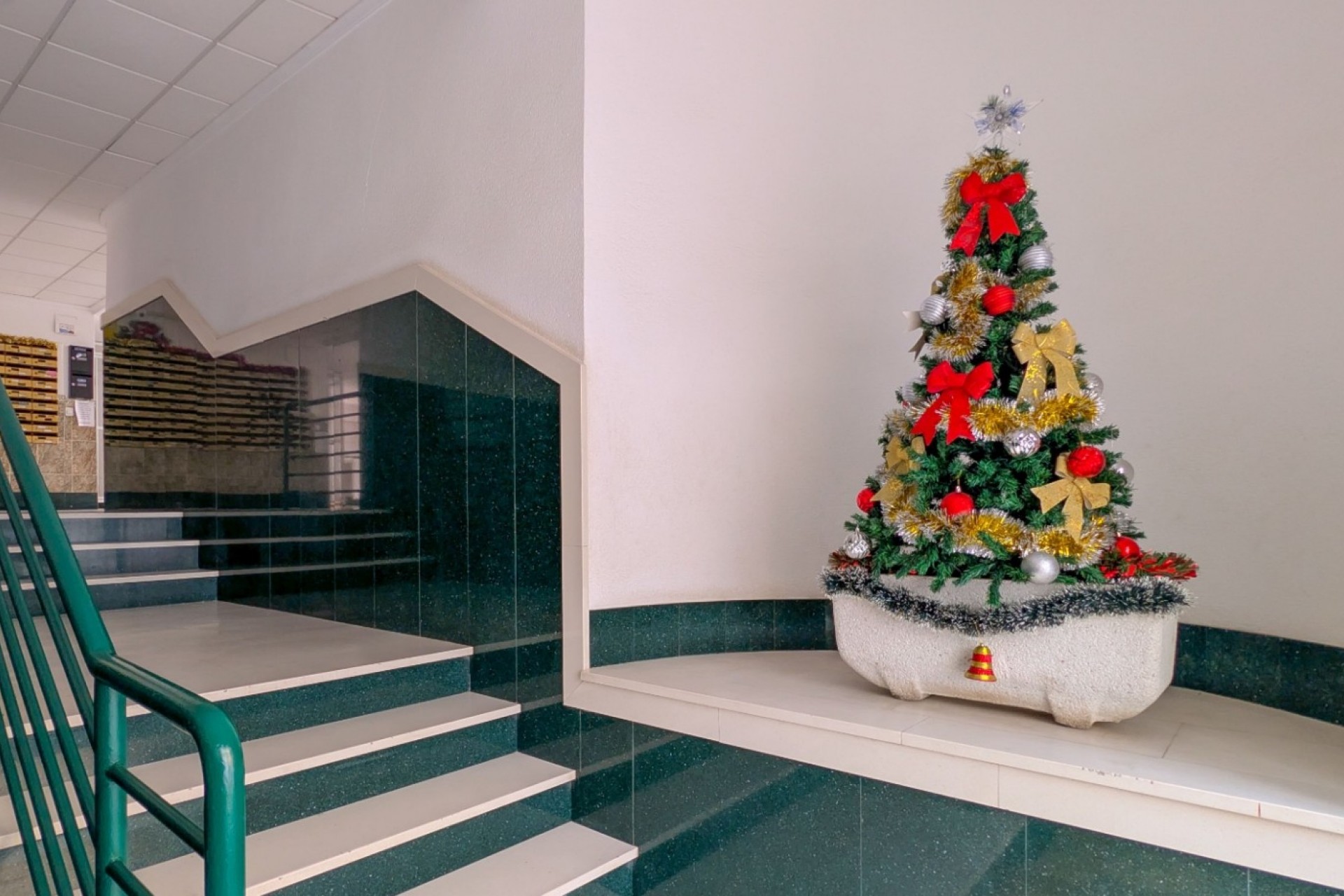 Reventa - Apartment -
Torrevieja - Costa Blanca