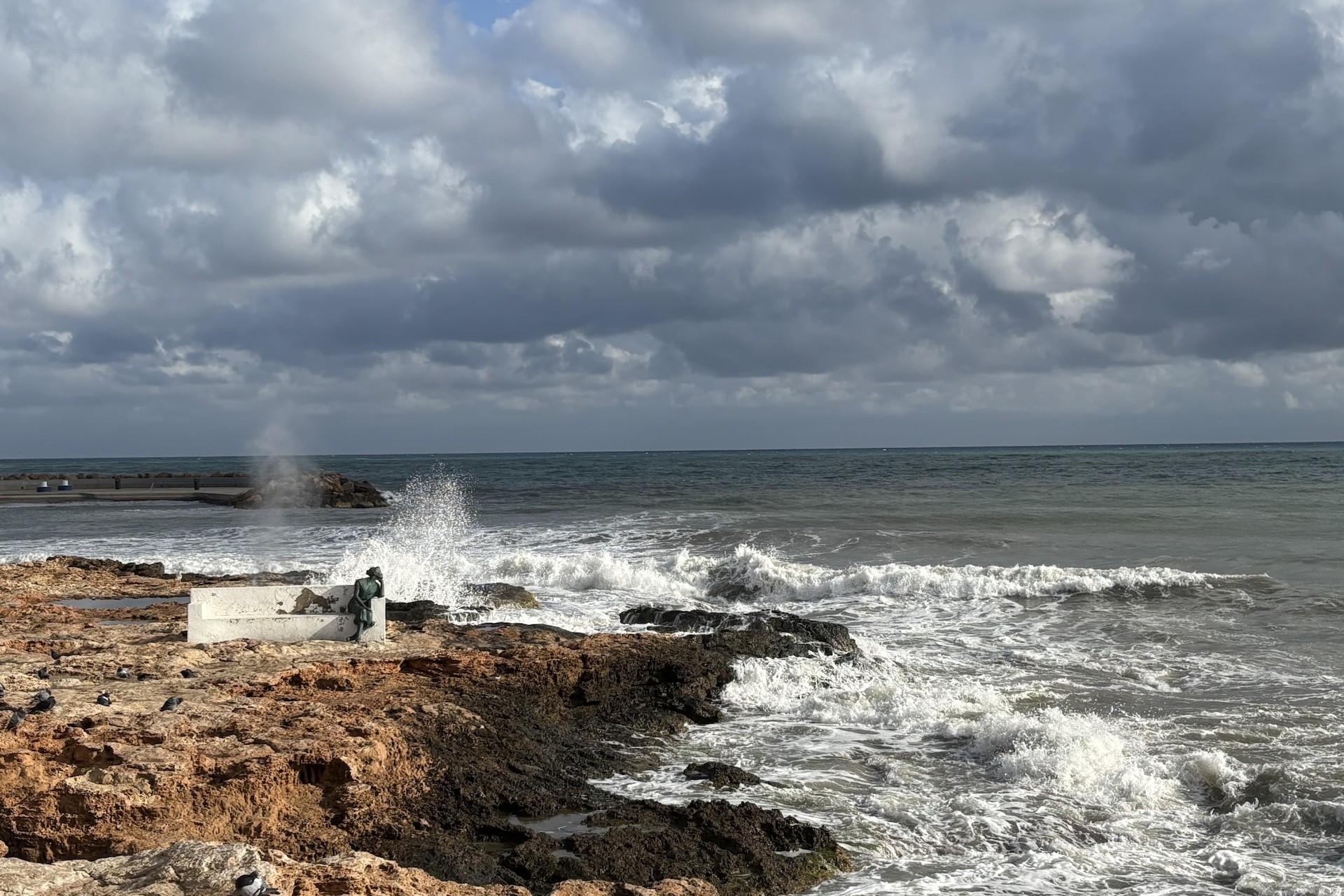 Reventa - Apartment -
Torrevieja - Costa Blanca