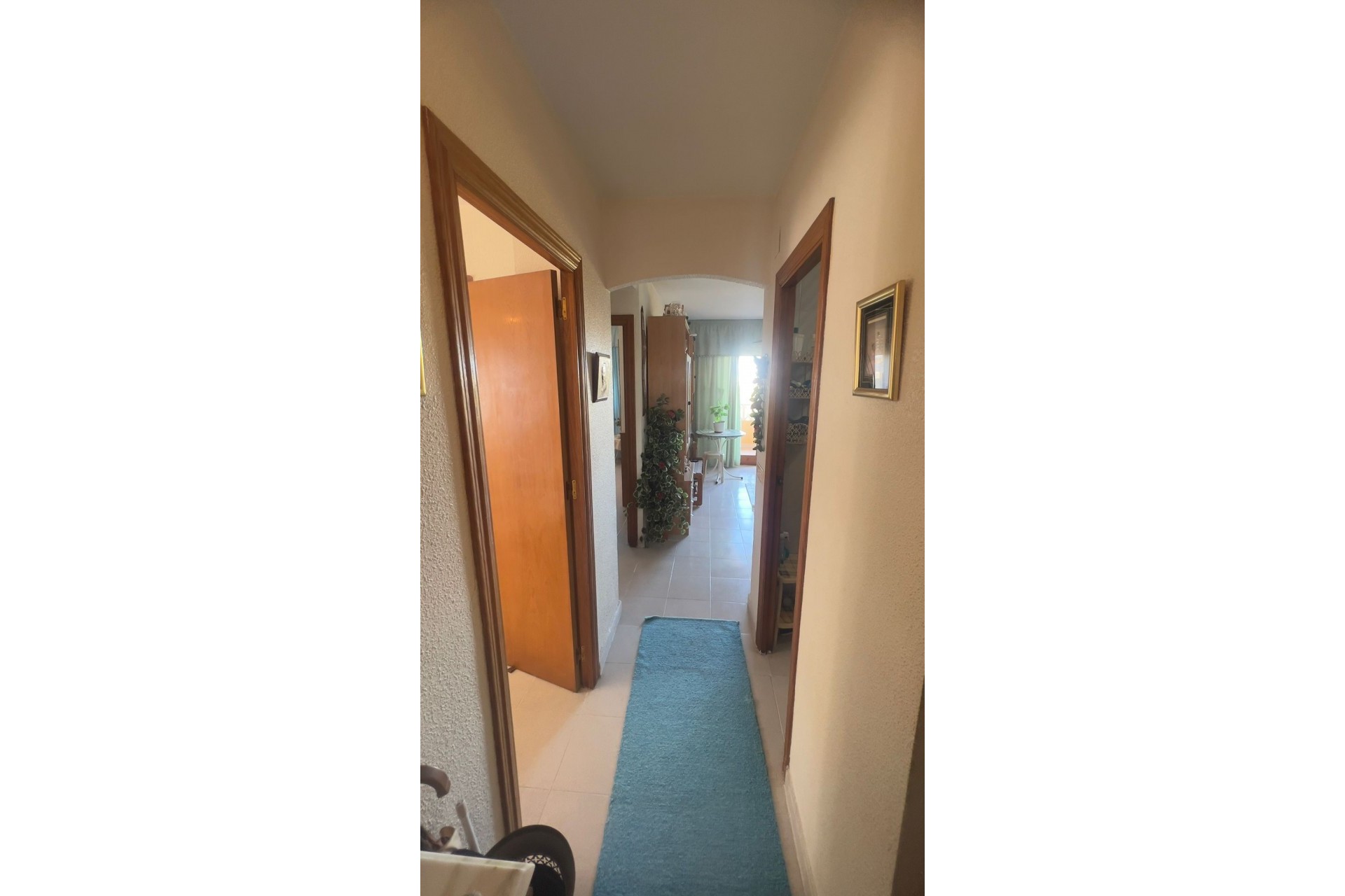 Reventa - Apartment -
Torrevieja - Costa Blanca