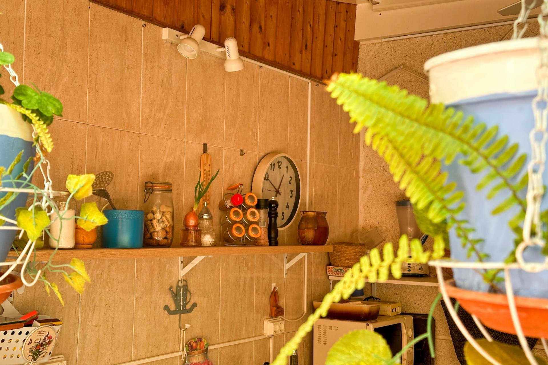 Reventa - Apartment -
Torrevieja - Costa Blanca