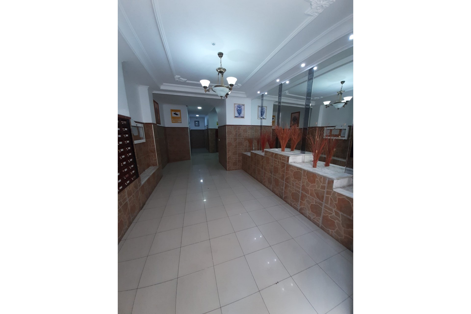 Reventa - Apartment -
Torrevieja - Costa Blanca