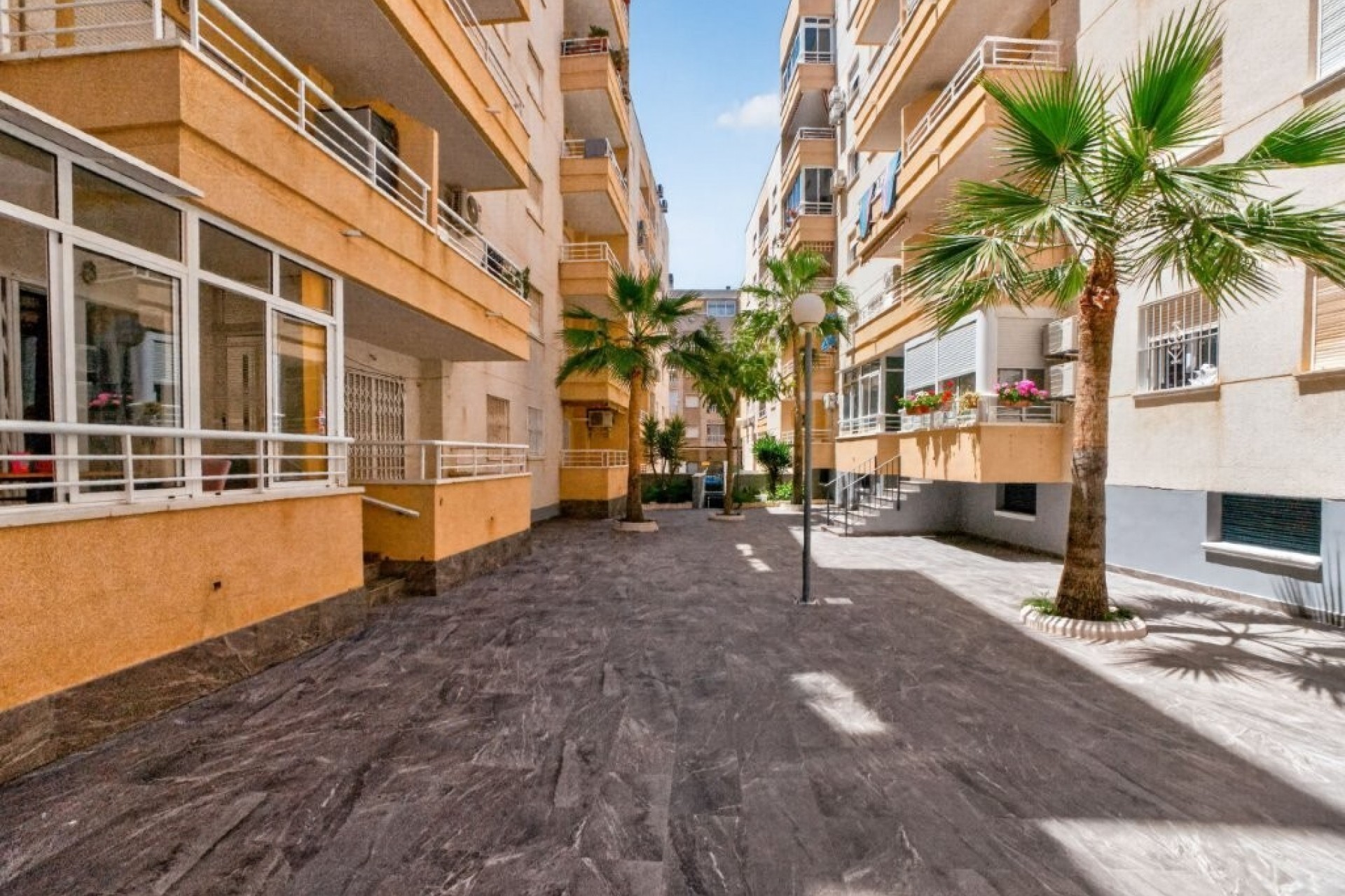 Reventa - Apartment -
Torrevieja - Costa Blanca
